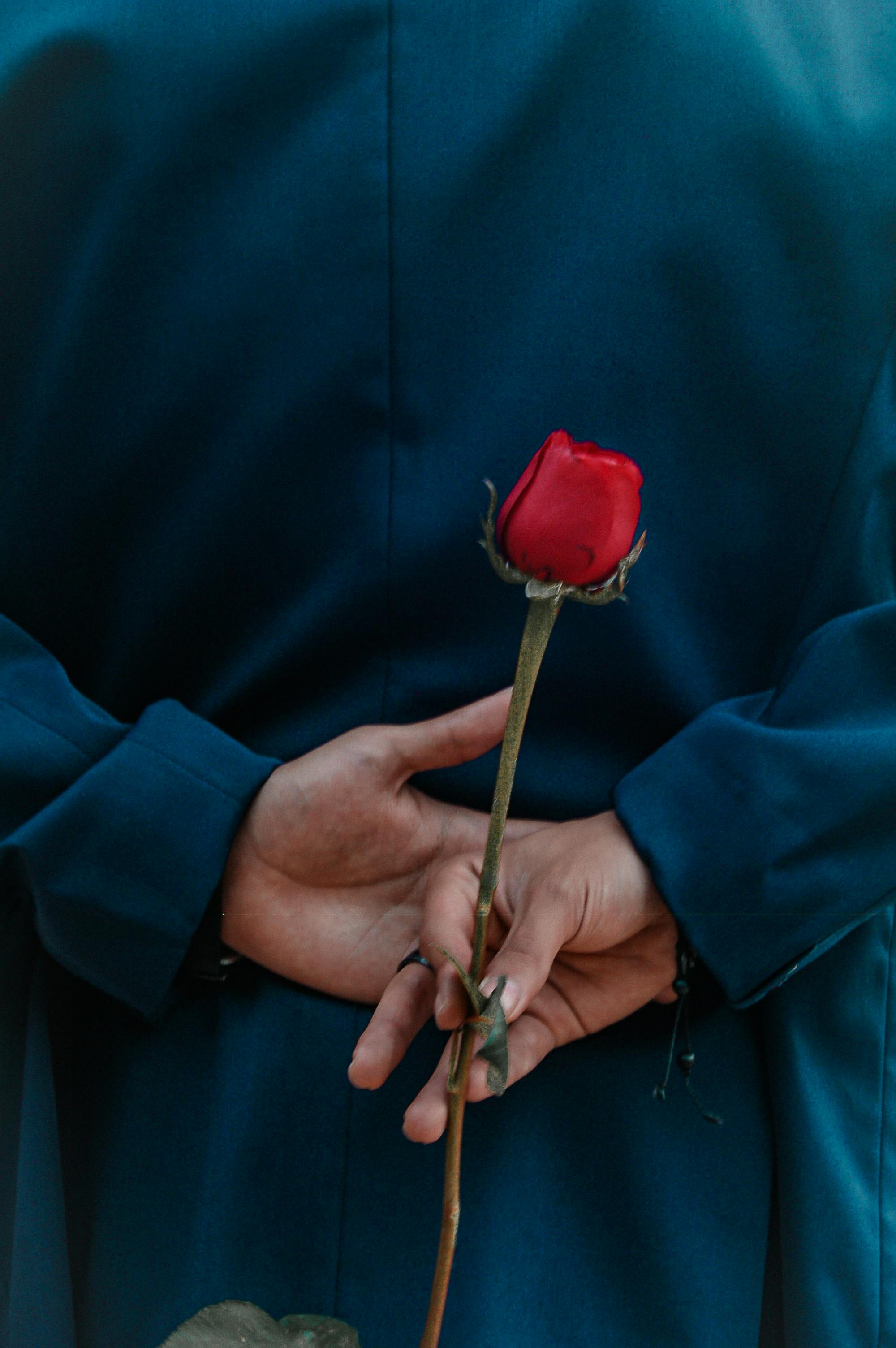 Romantic moment captured with a single red rose behind the back, symbolizing love and affection.