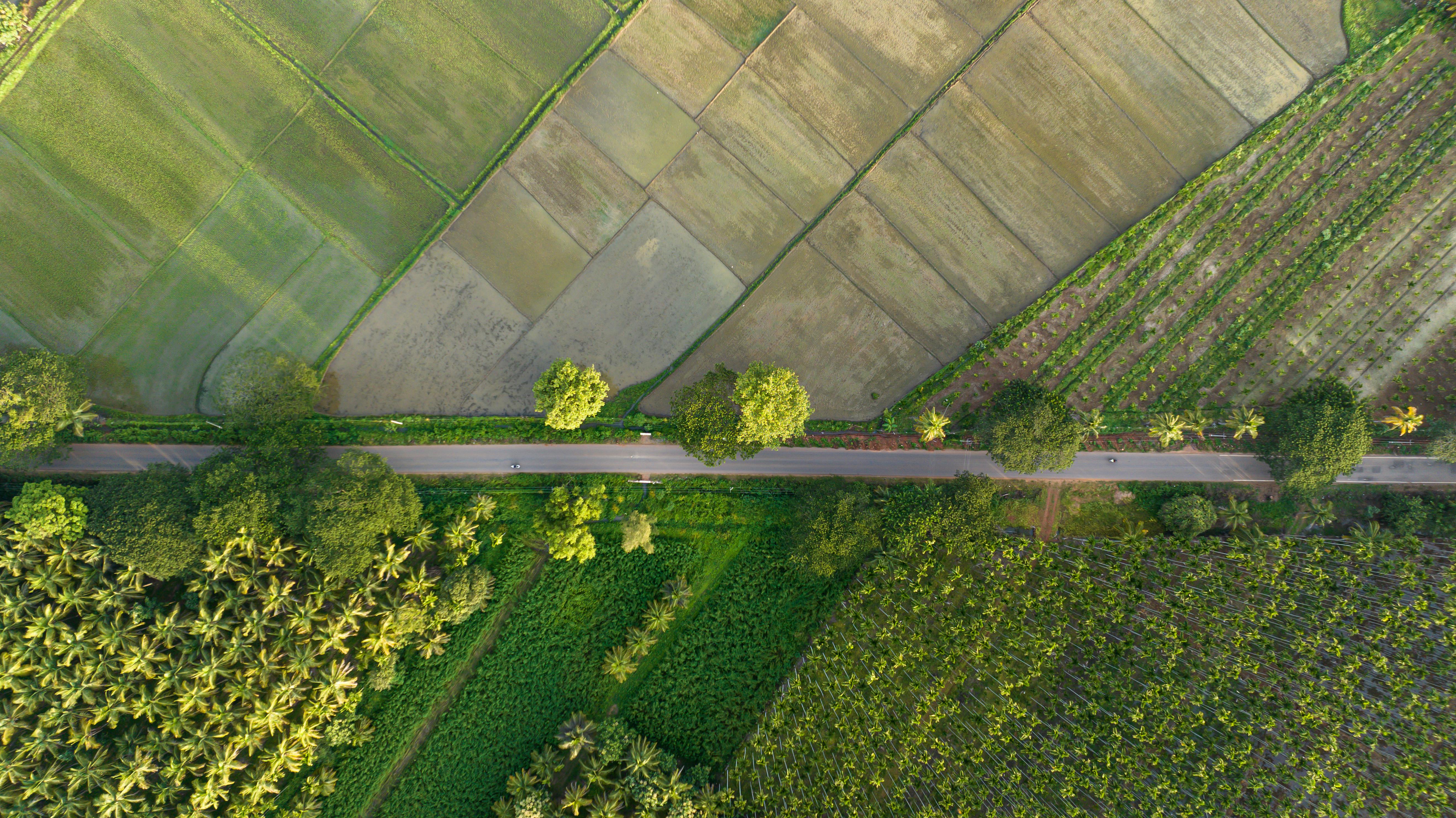 Governance in sustainability: the G of ESG can be more useful than just a reporting exercise — Photo by Anil  Sharma on Pexel