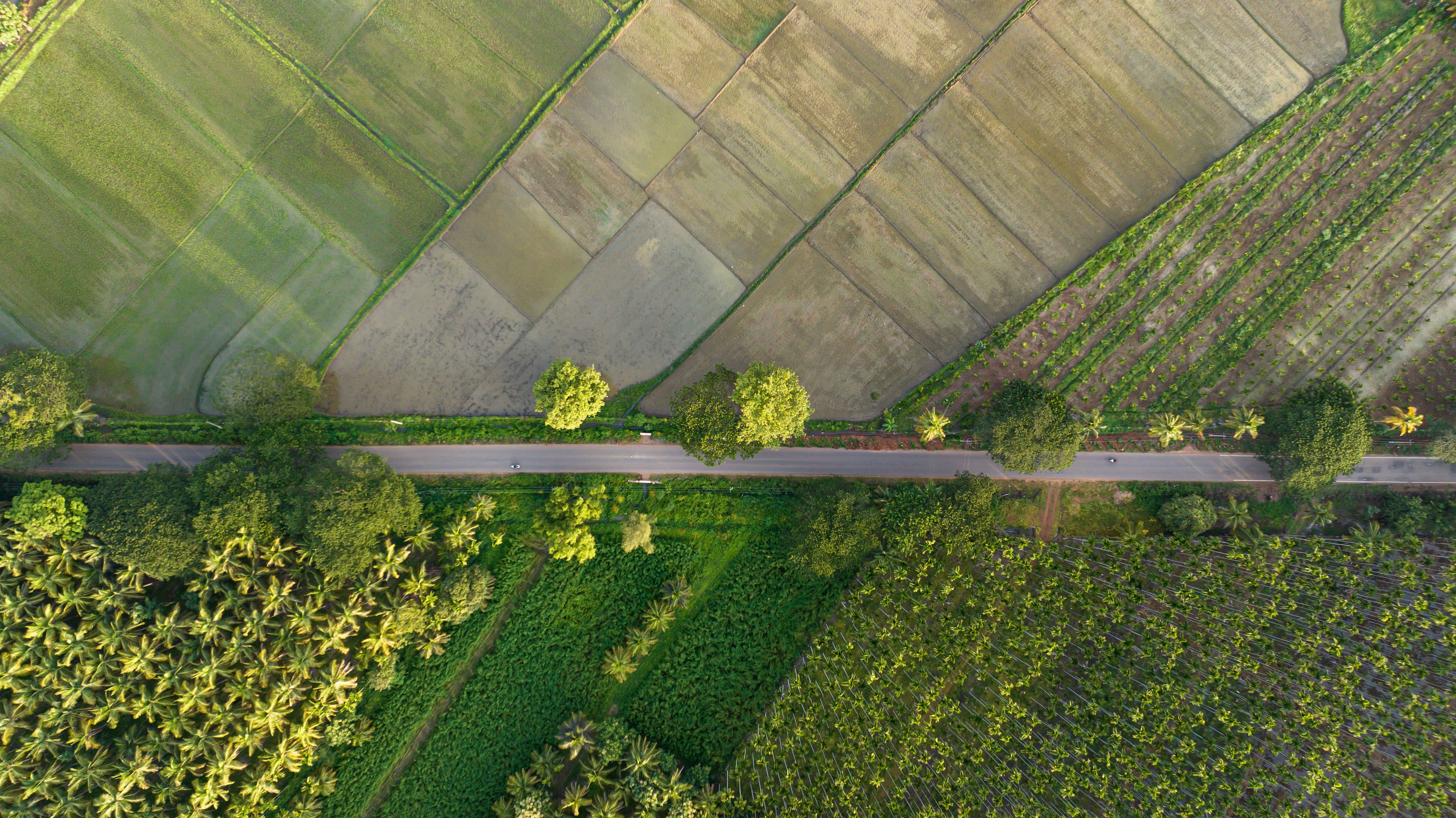 Aerial View of Lush Green Fields and Road · Free Stock Photo