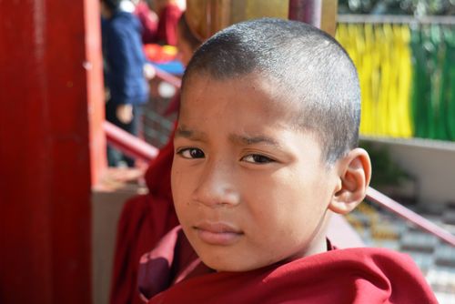Free Portrait of a young monk in traditional attire in Gangtok, Sikkim, India. Stock Photo