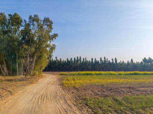 Free Vibrant rural landscape in Hazro, Punjab with fields and trees under a clear sky. Stock Photo