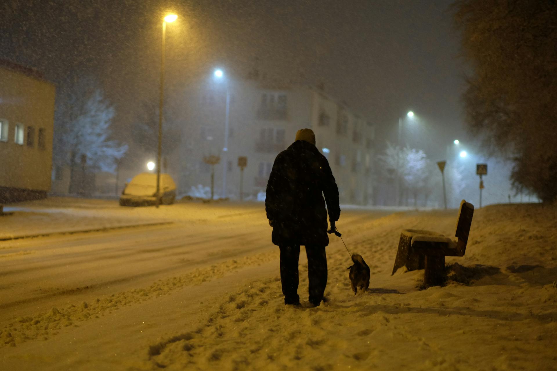 A person walks their dog on a snowy street at night, showcasing winter ambiance.