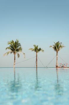 Relaxing tropical scene with palm trees by an infinity pool and clear blue skies.