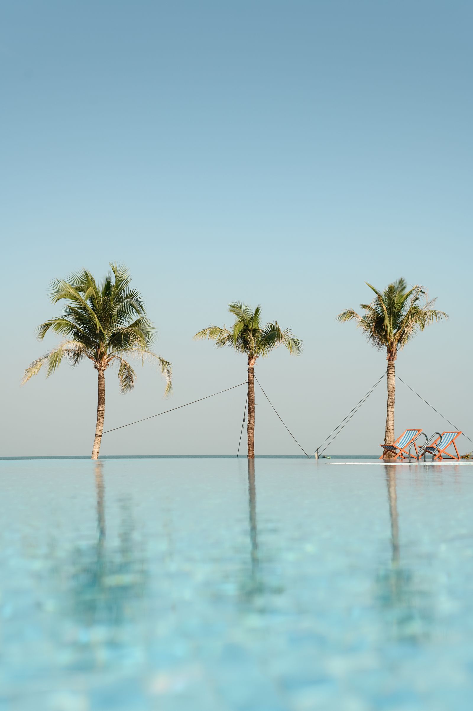 A tropical infinity pool surrounded by palm trees at a wellness resort