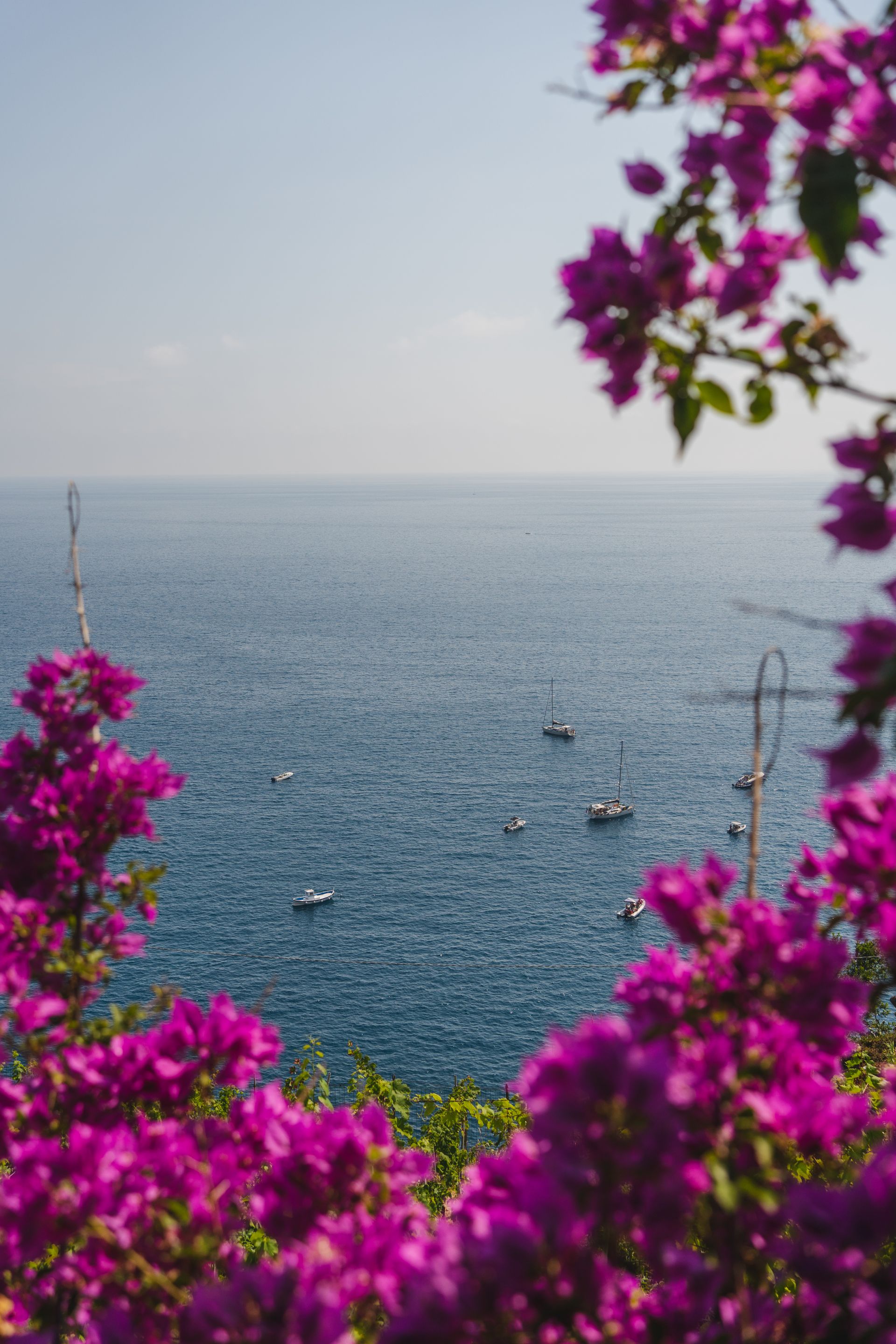 The Mediterranean Sea framed by blooming bougainvillea