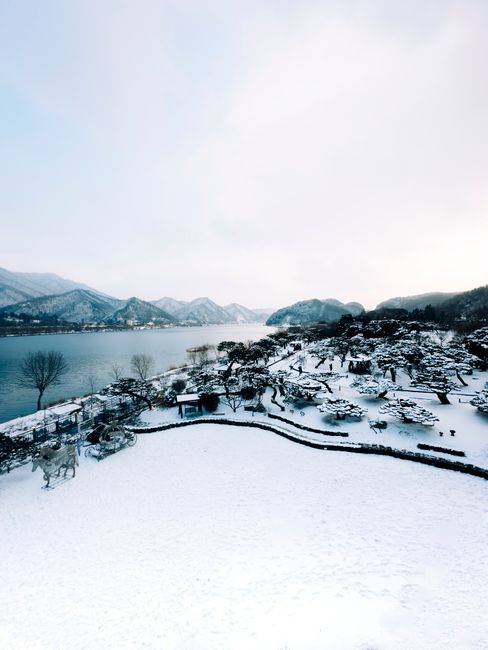 Pengalaman Gue: Nyaris Jadi Es Batu di Korea Selatan Pengalaman Gue: Nyaris Jadi Es Batu di Korea Selatan