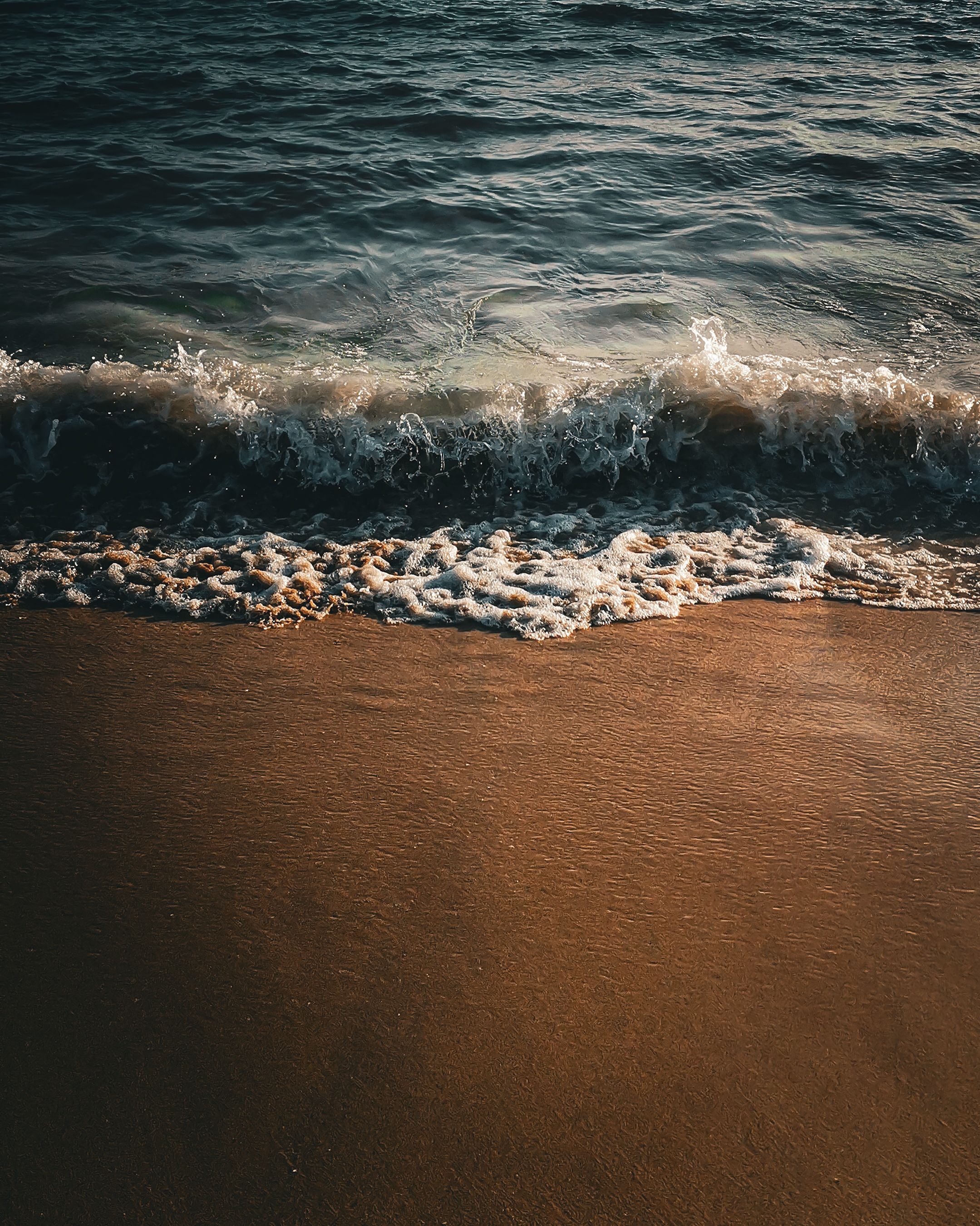 Serene Coastal Shoreline at Sunset · Free Stock Photo