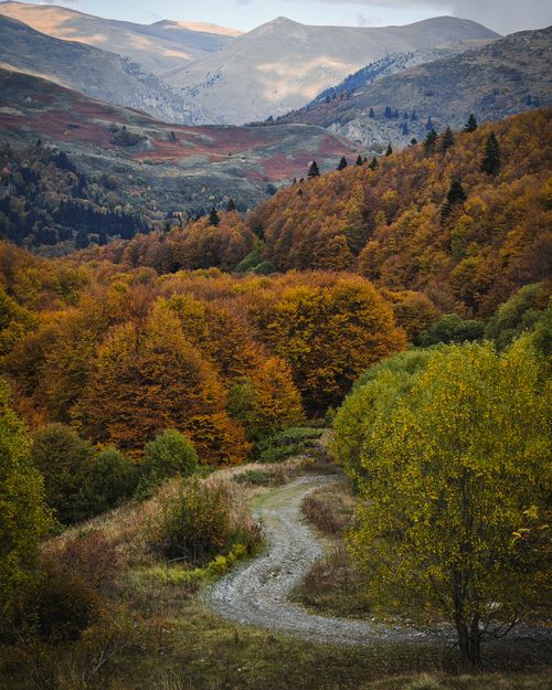 Free Captivating autumn scenery of mountains and colorful trees in Mavrovo, North Macedonia. Stock Photo