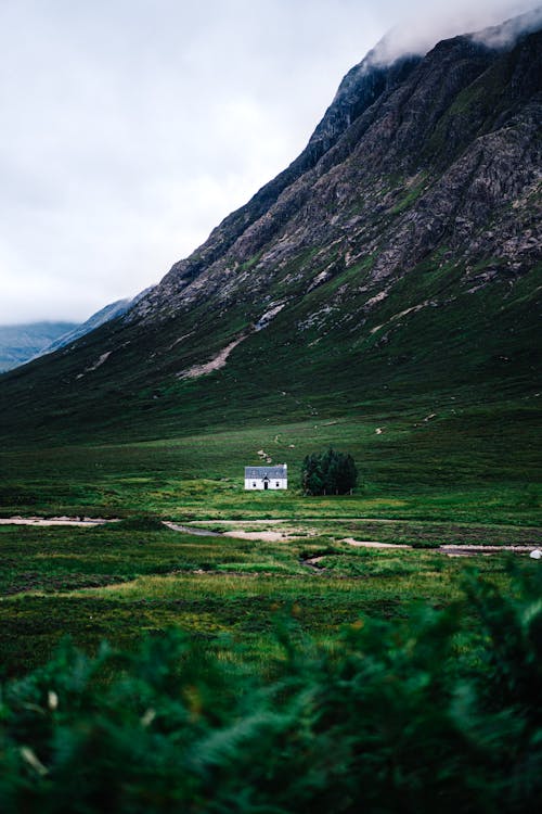 Free White and Gray House on Green Field Stock Photo