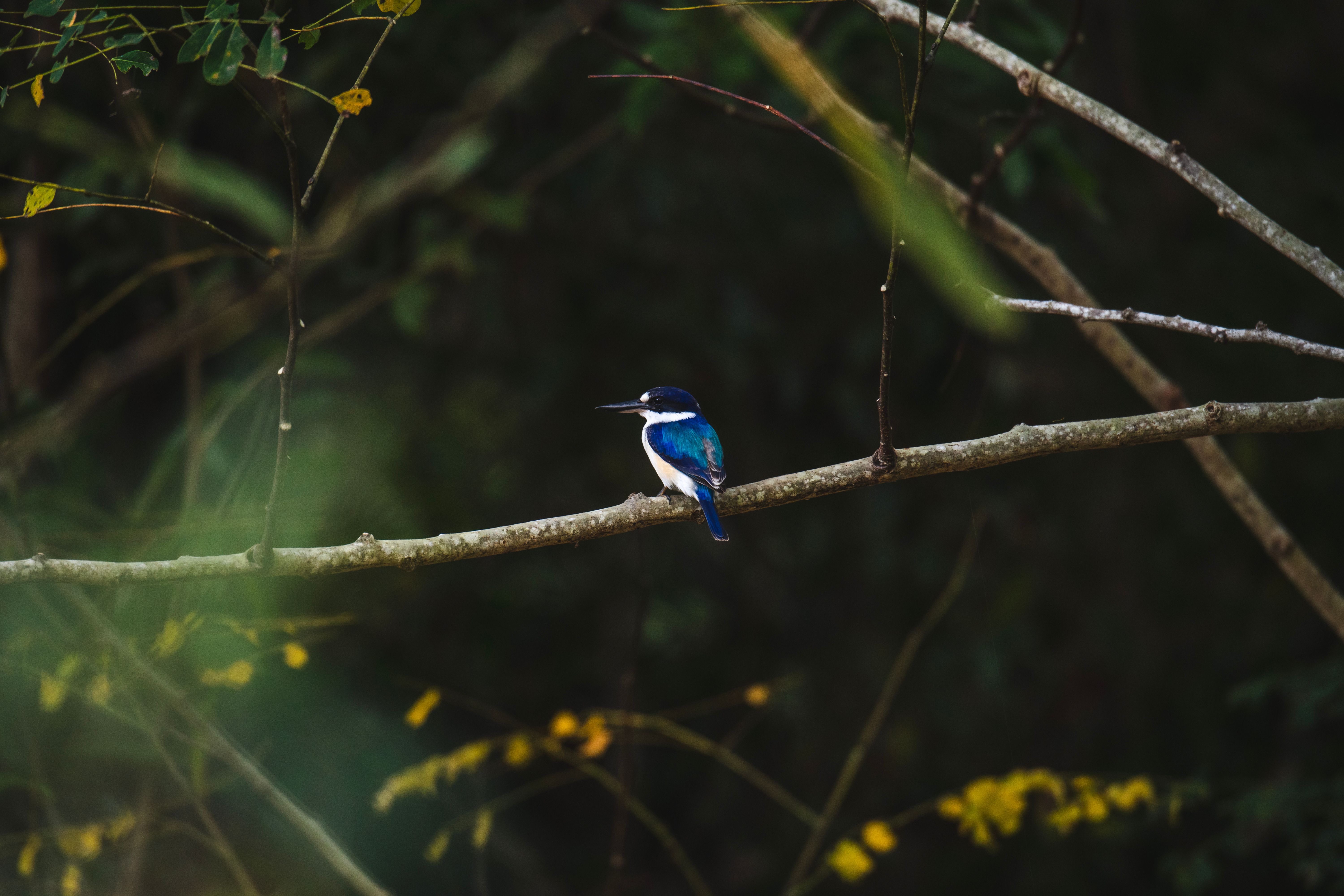 Bright Colors Photos, Download The BEST Free Bright Colors Stock Photos ...