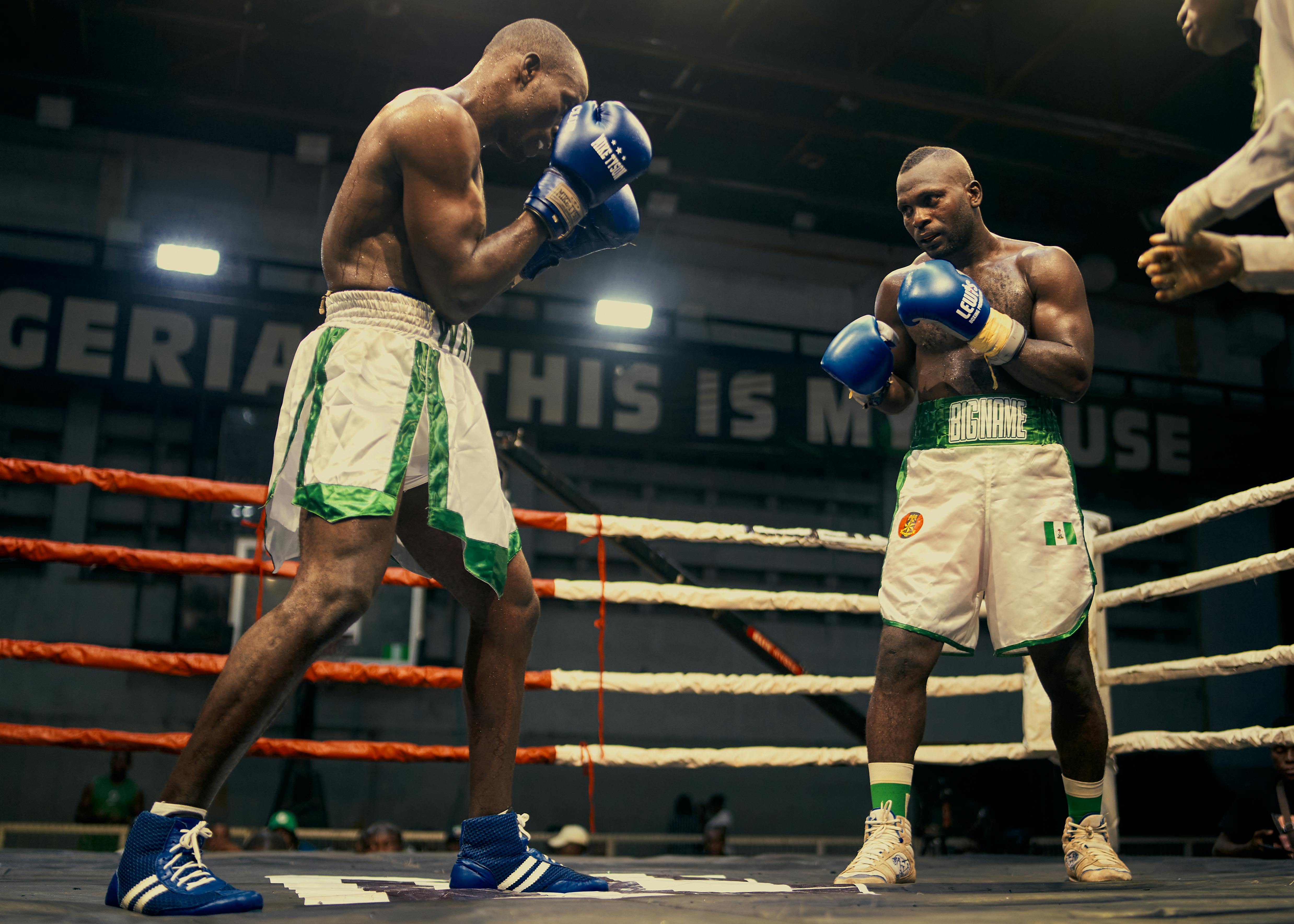 Nigeria to launch International Media and Information Literacy — Photo by ezecutiveshot on Pexels