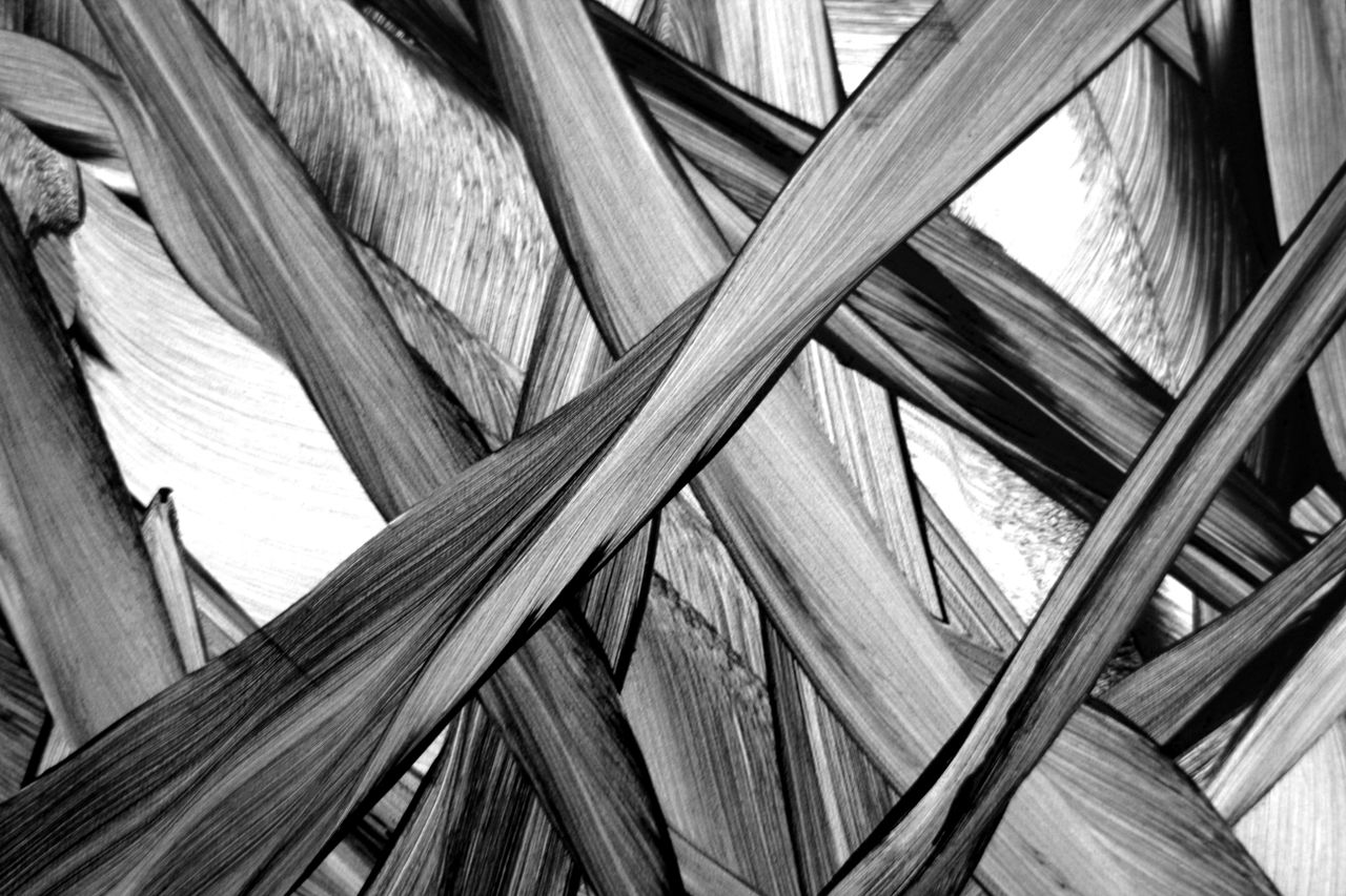monochrome abstract pattern of interwoven leaves for modern design use