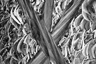 Abstract Black and White Textured Painting