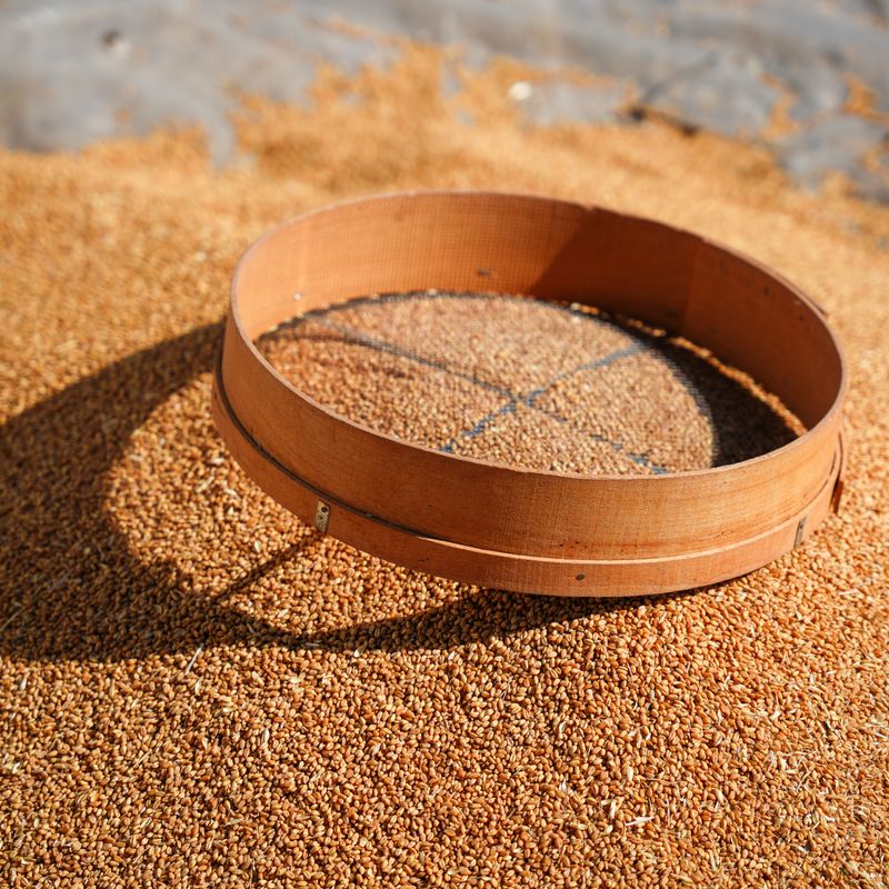 Roasted Beet and Sumac Teff