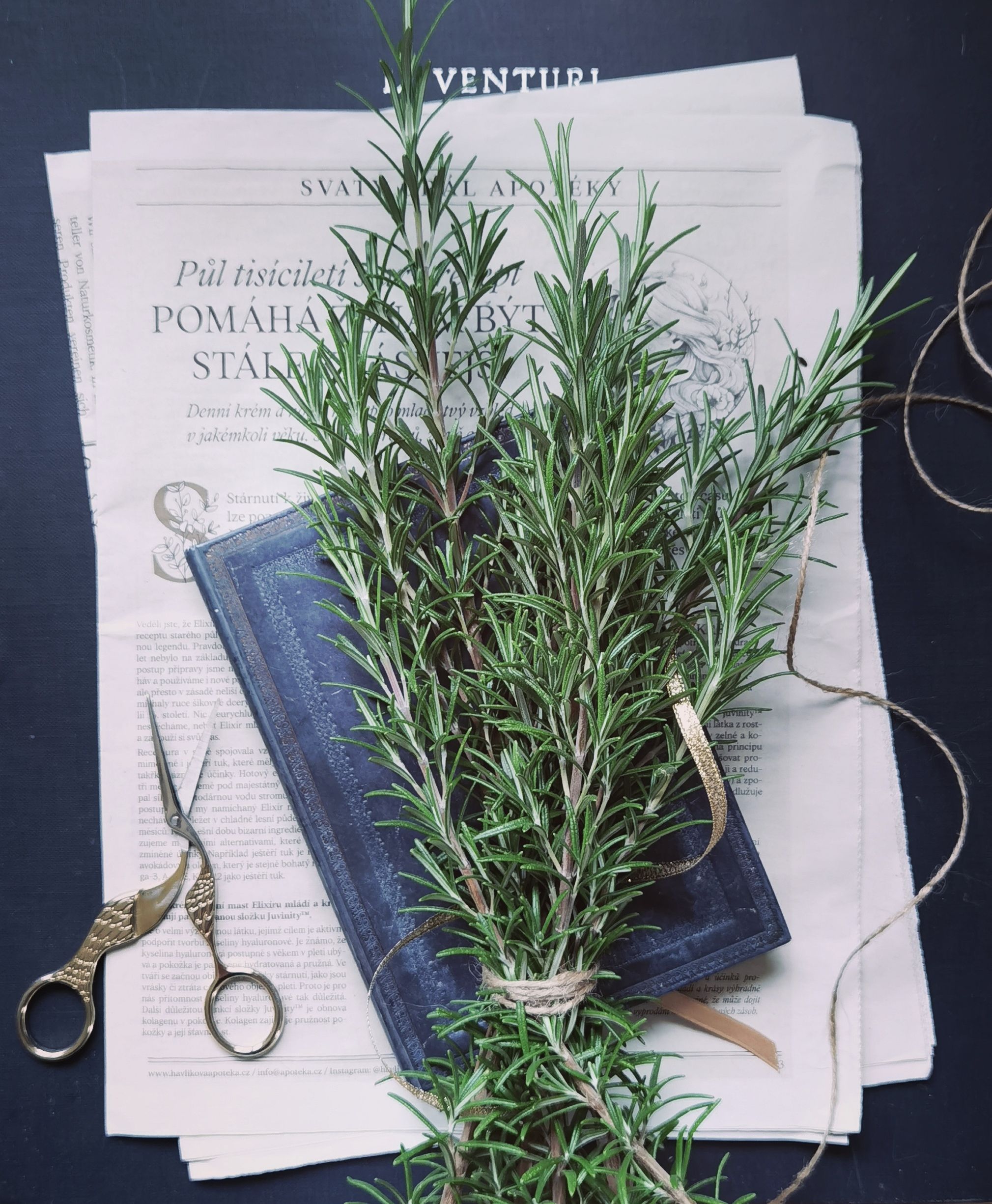 Aromatic rosemary on a vintage book on newspaper with scissors nearby. Perfect for kitchen or herbal imagery.