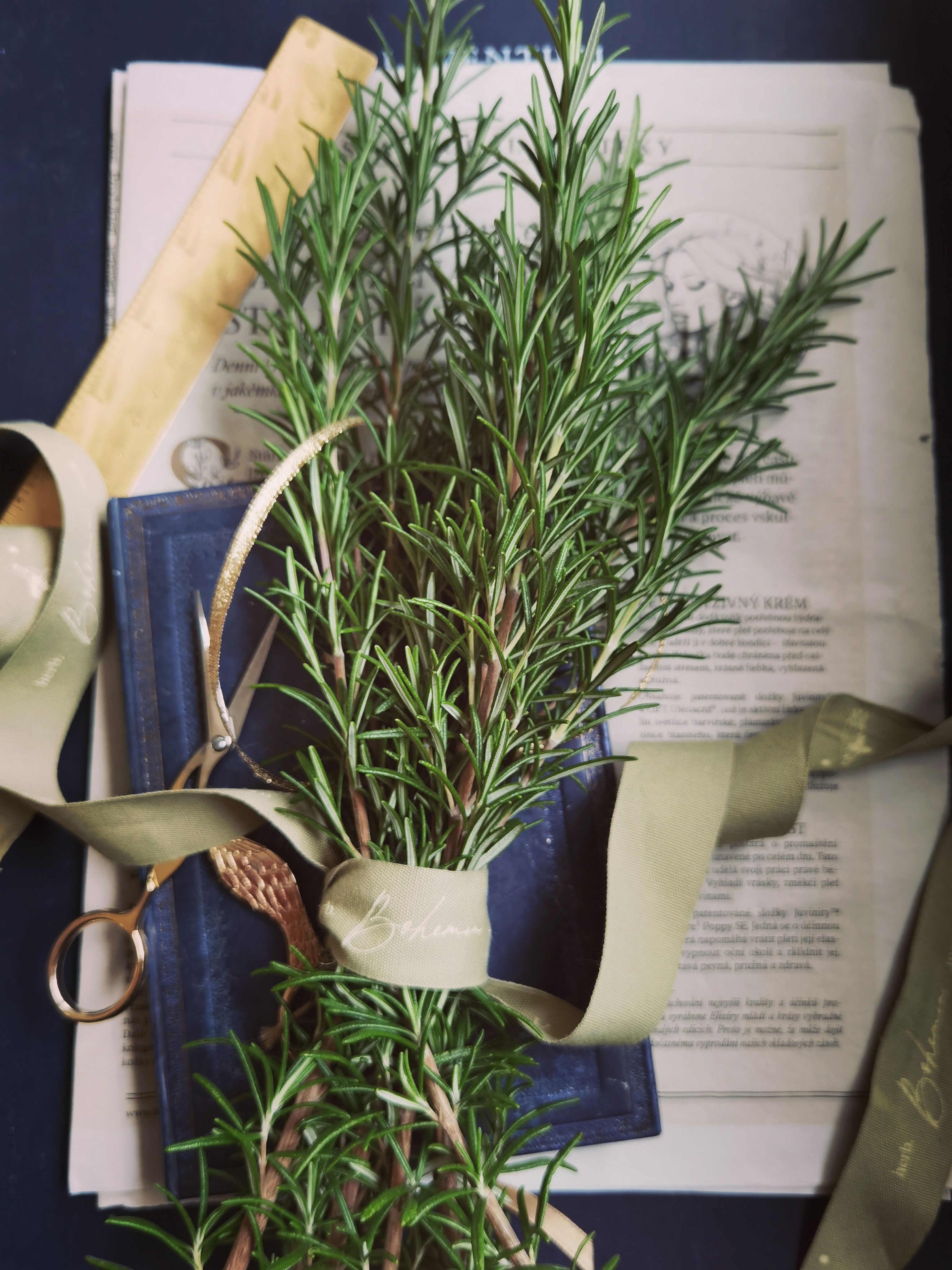 Fresh Rosemary Herbs with Vintage Ribbon and Scissors · Free Stock Photo