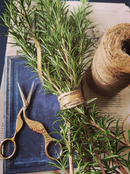 Free A rustic flat lay with fresh rosemary, vintage scissors, and burlap twine on a newspaper. Stock Photo