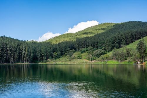 Free A tranquil lake surrounded by lush green pine forests under a clear blue sky, reflecting summer's beauty. Stock Photo