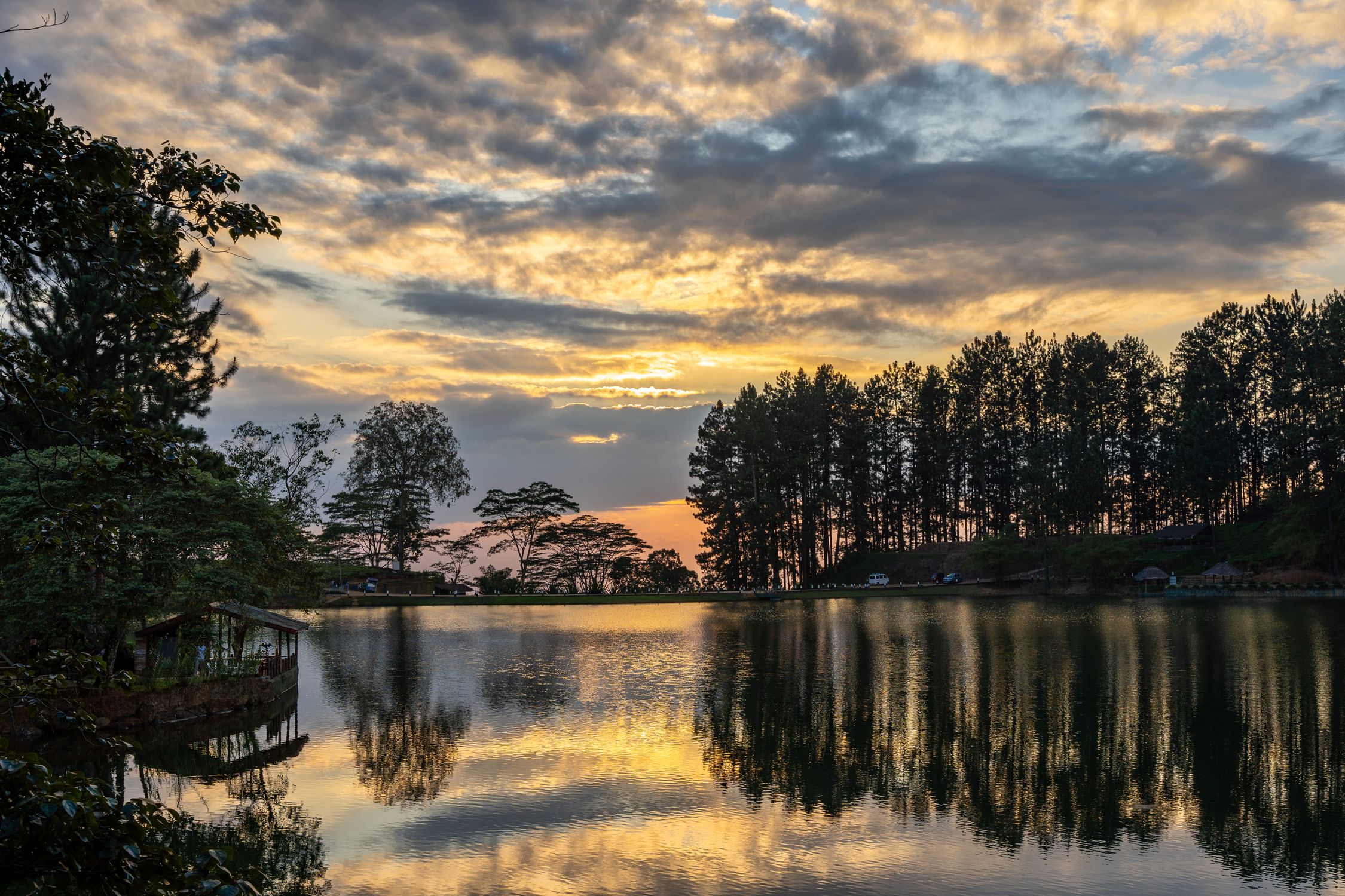 Reflective Tree Sunset Serene Sunset Over Reflective Lake and Pine Trees · Free Stock Photo