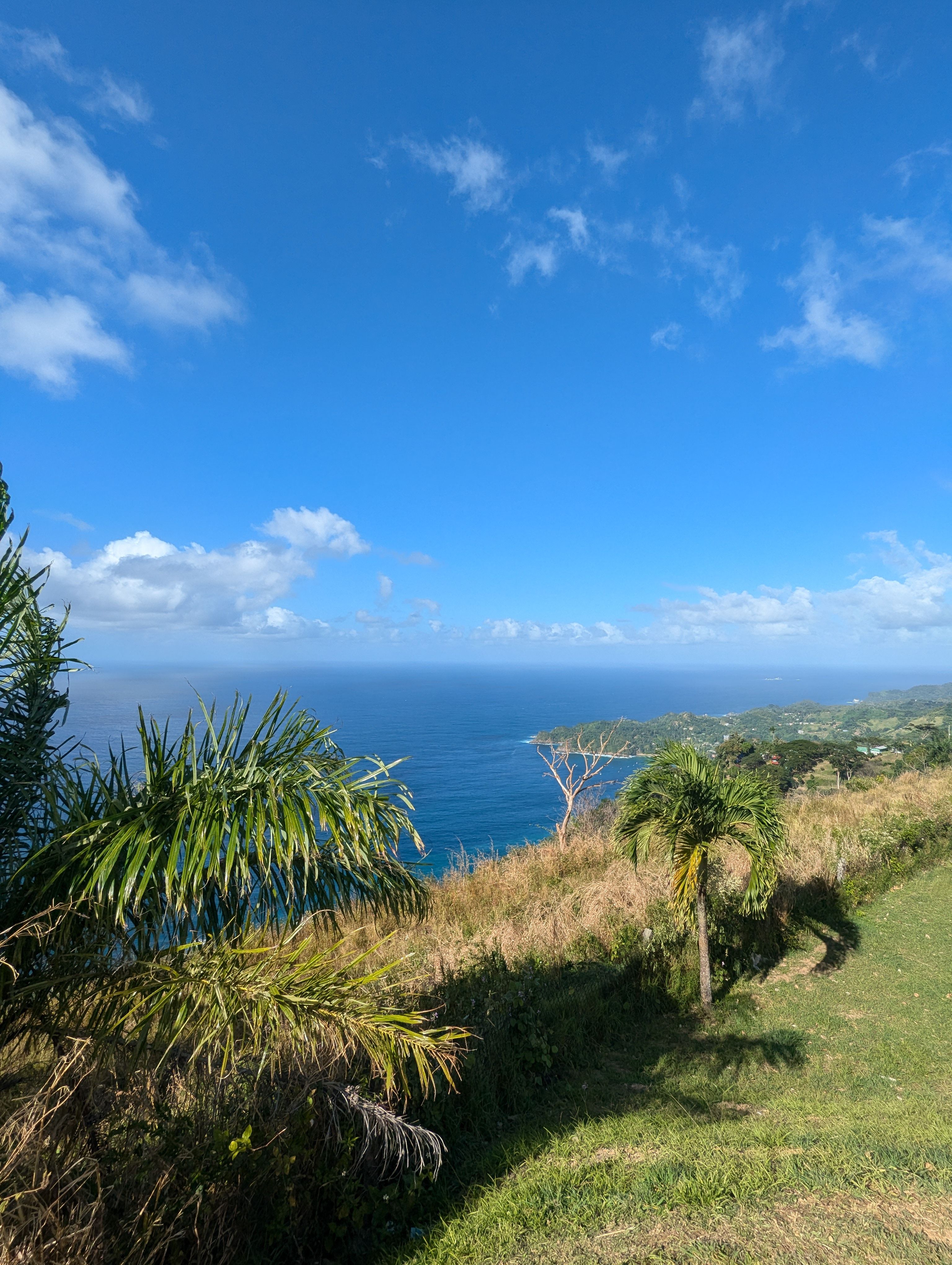 Fotomural Impresionante vista de la bahía de Castara en Tobago, con exuberante vegetación y cielos azules claros.