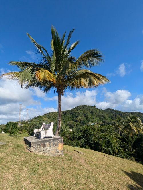 Free Tranquil viewpoint with palm trees in Castara, Tobago. Perfect for relaxing amidst nature. Stock Photo