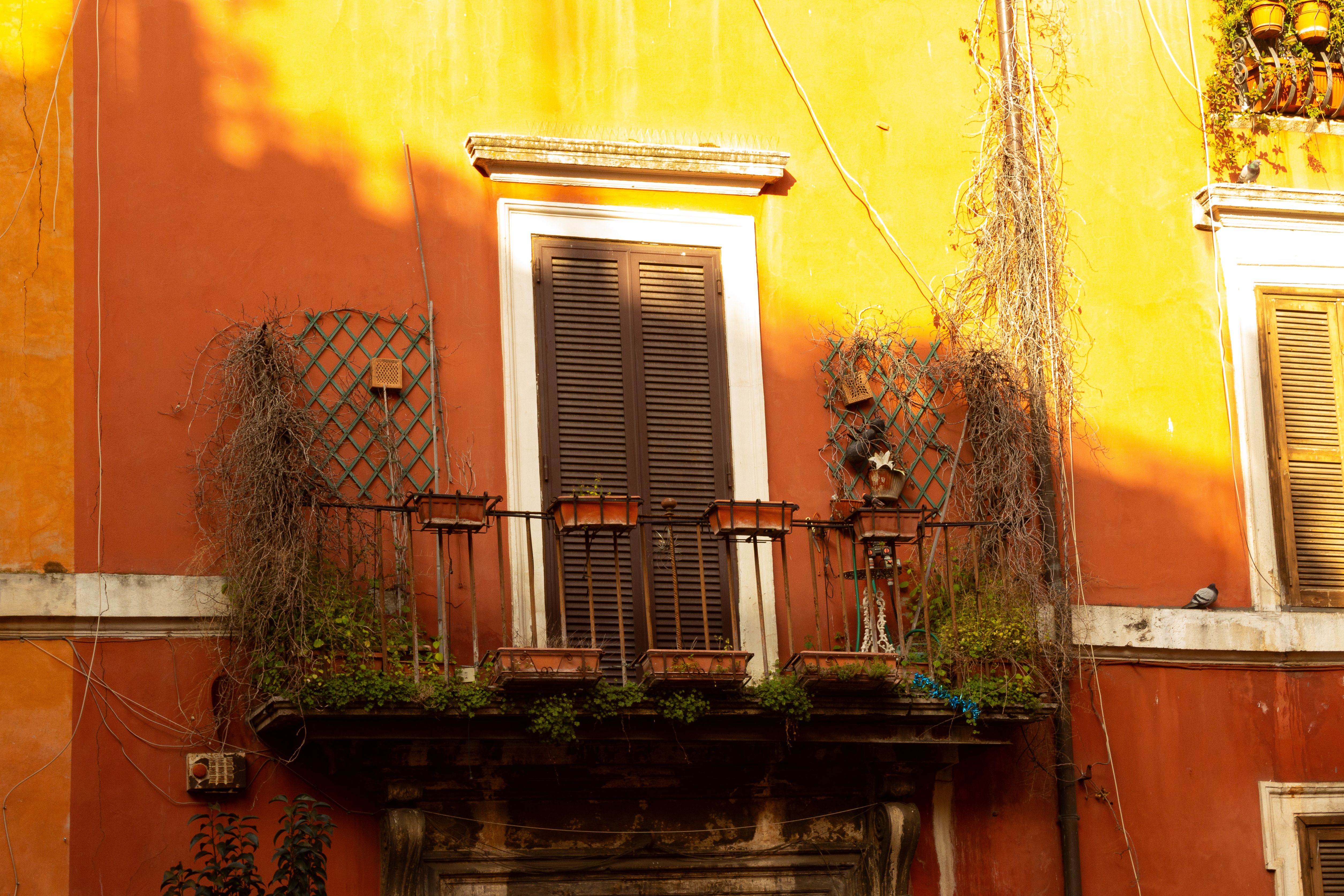 A modern balcony featuring terracotta walls and sage green accents - modern balcony paint ideas