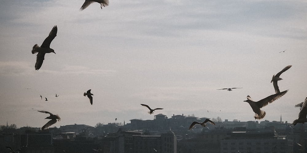 The Enduring Legacy of Epic Poetry - A Journey Through Time and Culture