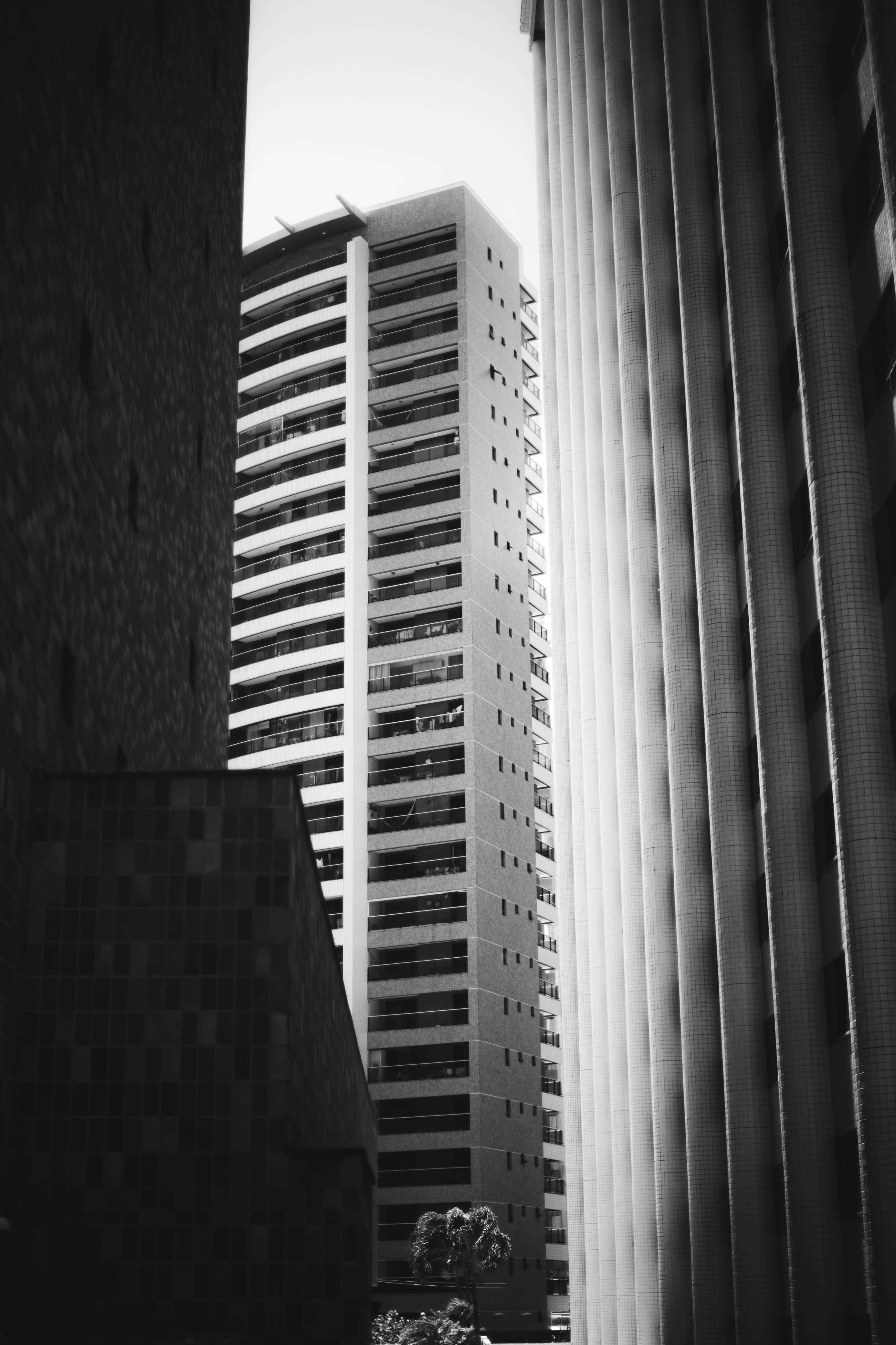 Monochrome Urban Cityscape of Modern Architecture · Free Stock Photo