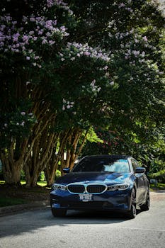 Blue BMW car parked under blooming trees in Arlington, TX, during daytime.