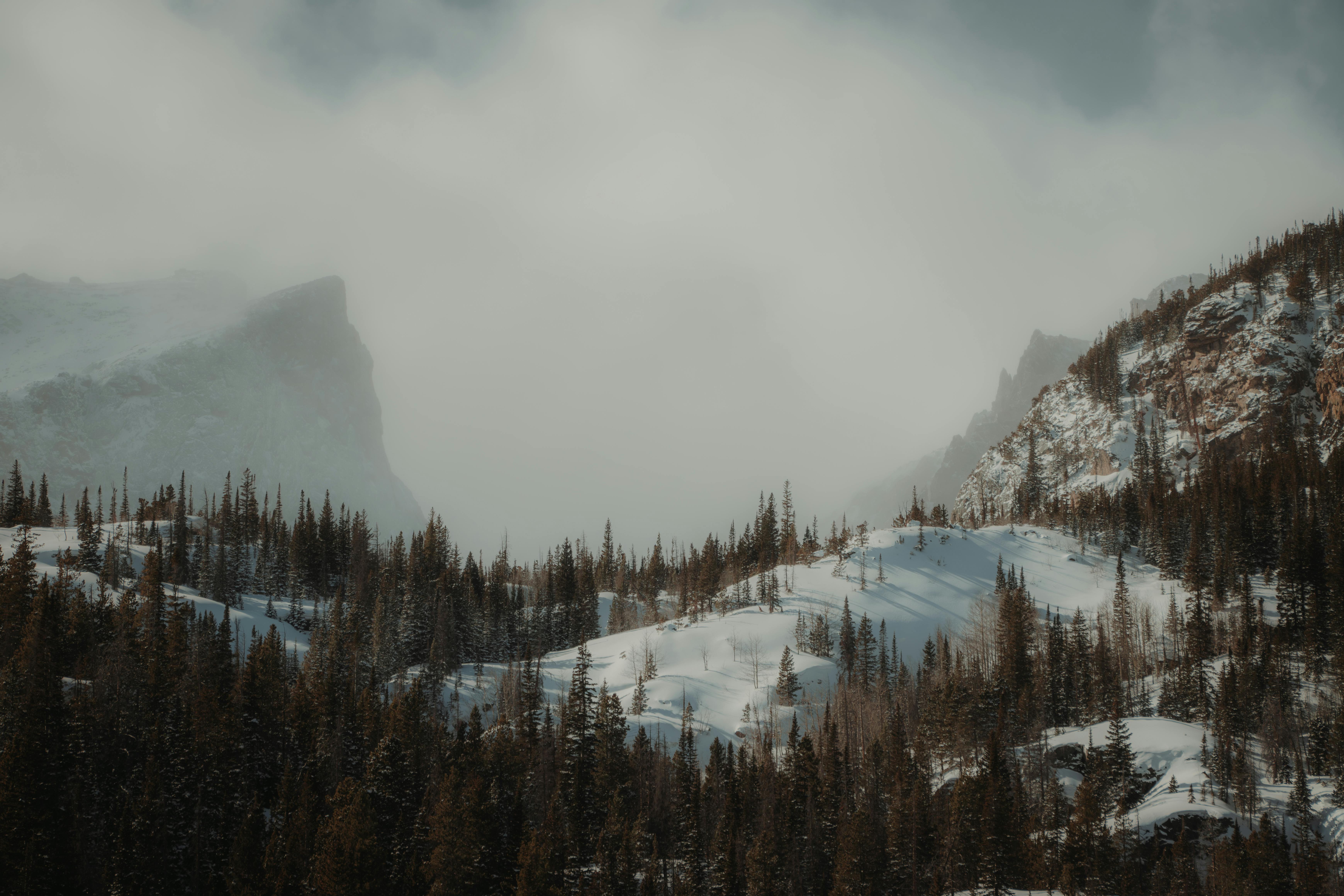 阿根廷在COP30政治角色遭忽視，影響力被質疑