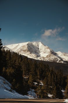 Breathtaking view of snow-covered Rocky Mountains and dense forested slopes under a clear blue sky