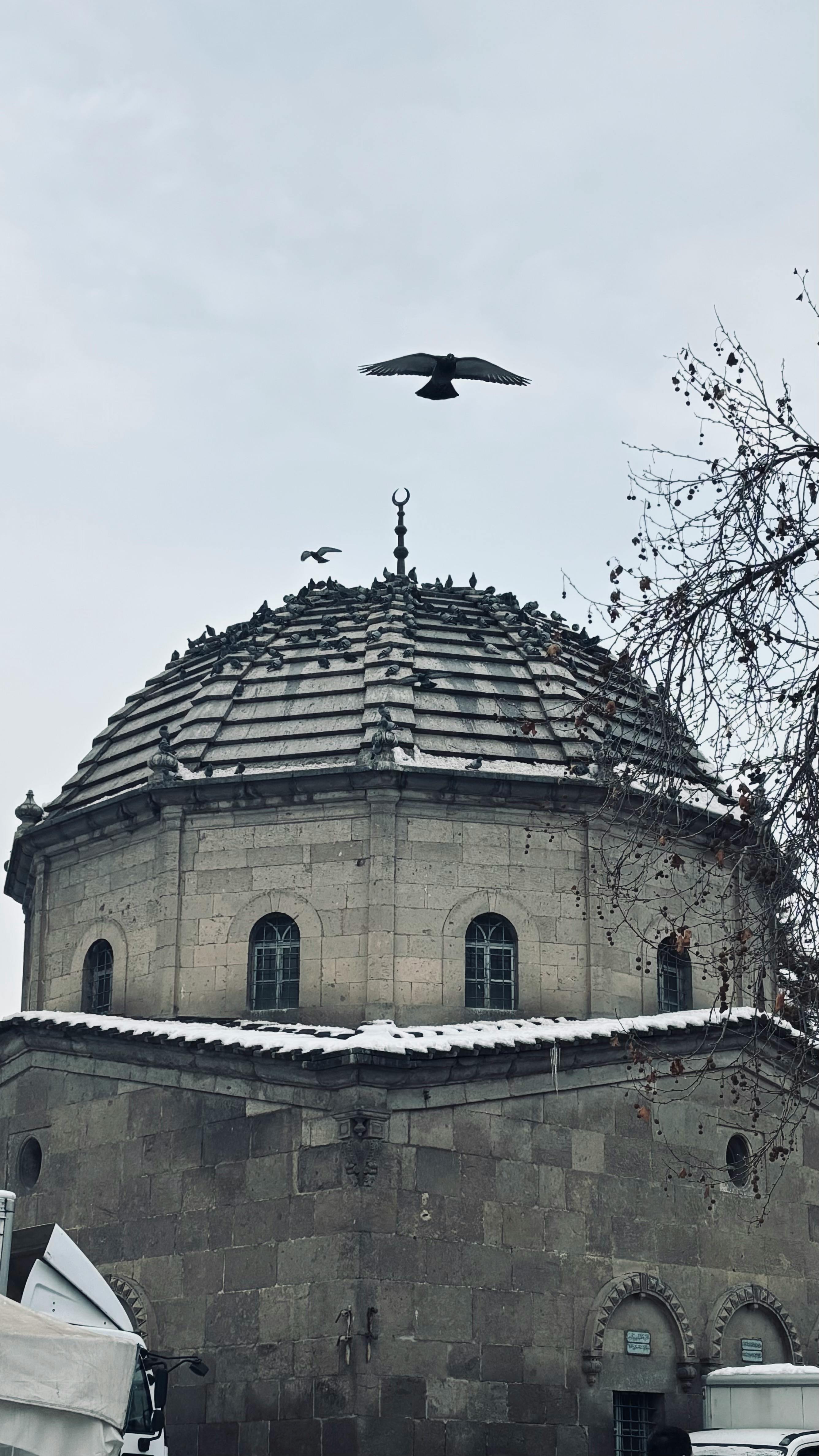 A historic dome with birds flying above, showcasing winter architecture.
