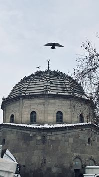 A historic dome with birds flying above, showcasing winter architecture.