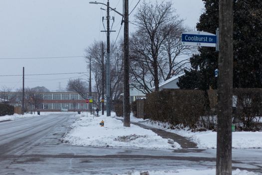 Ottawa Weighs Renaming Trump Avenue Amid U.S. Trade Fight