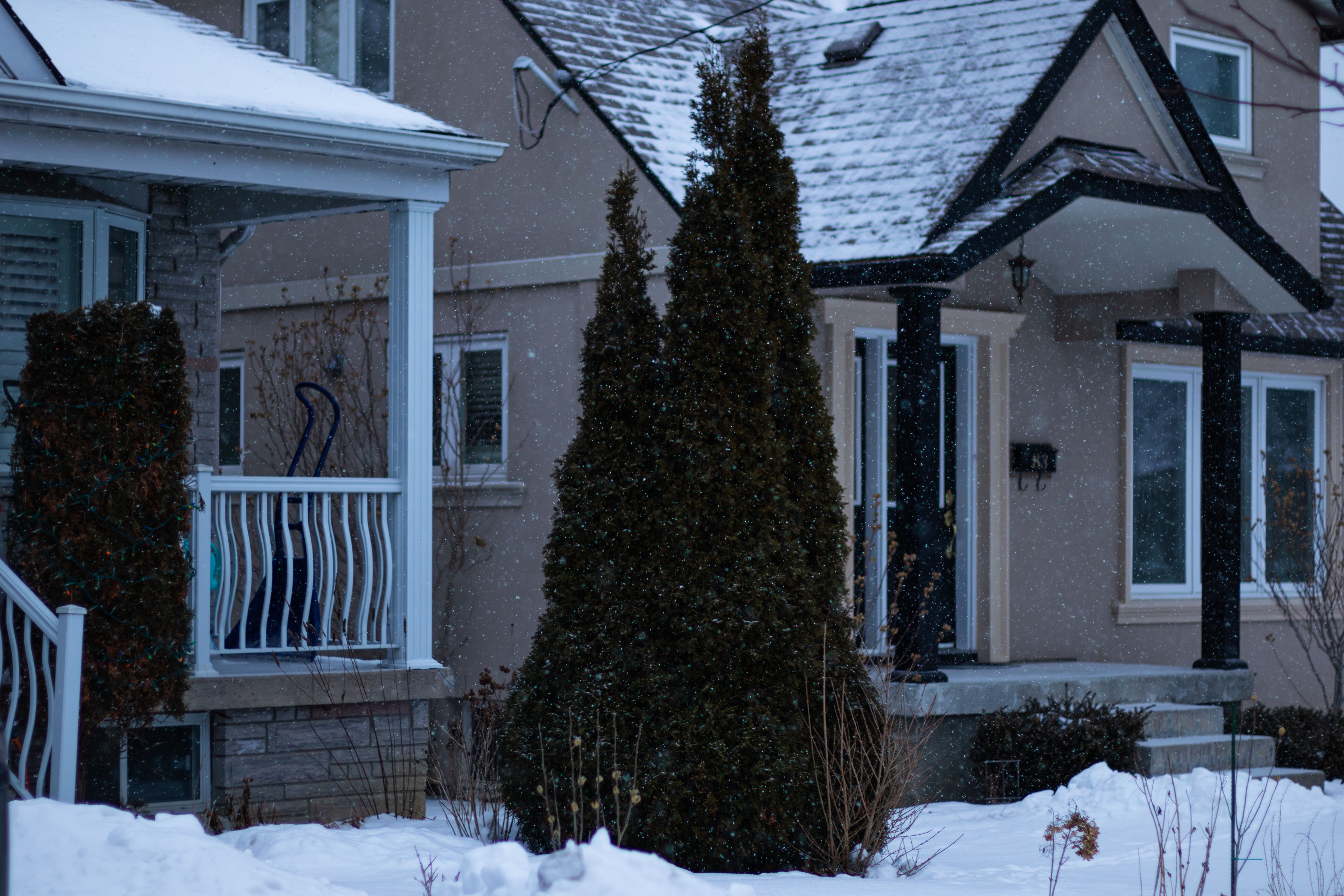 Investigation: Another local homeowner’s insurance company denies extensive water damage claim — Photo by Anurag Jamwal on Pe