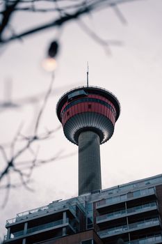 A striking perspective of Calgary Tower rising above modern buildings and trees in Canada.