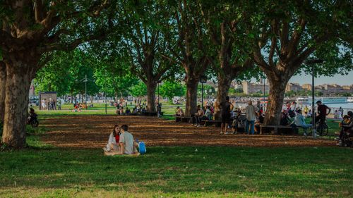 Free Couple relaxing under trees in Bordeaux city park on a sunny day. Stock Photo