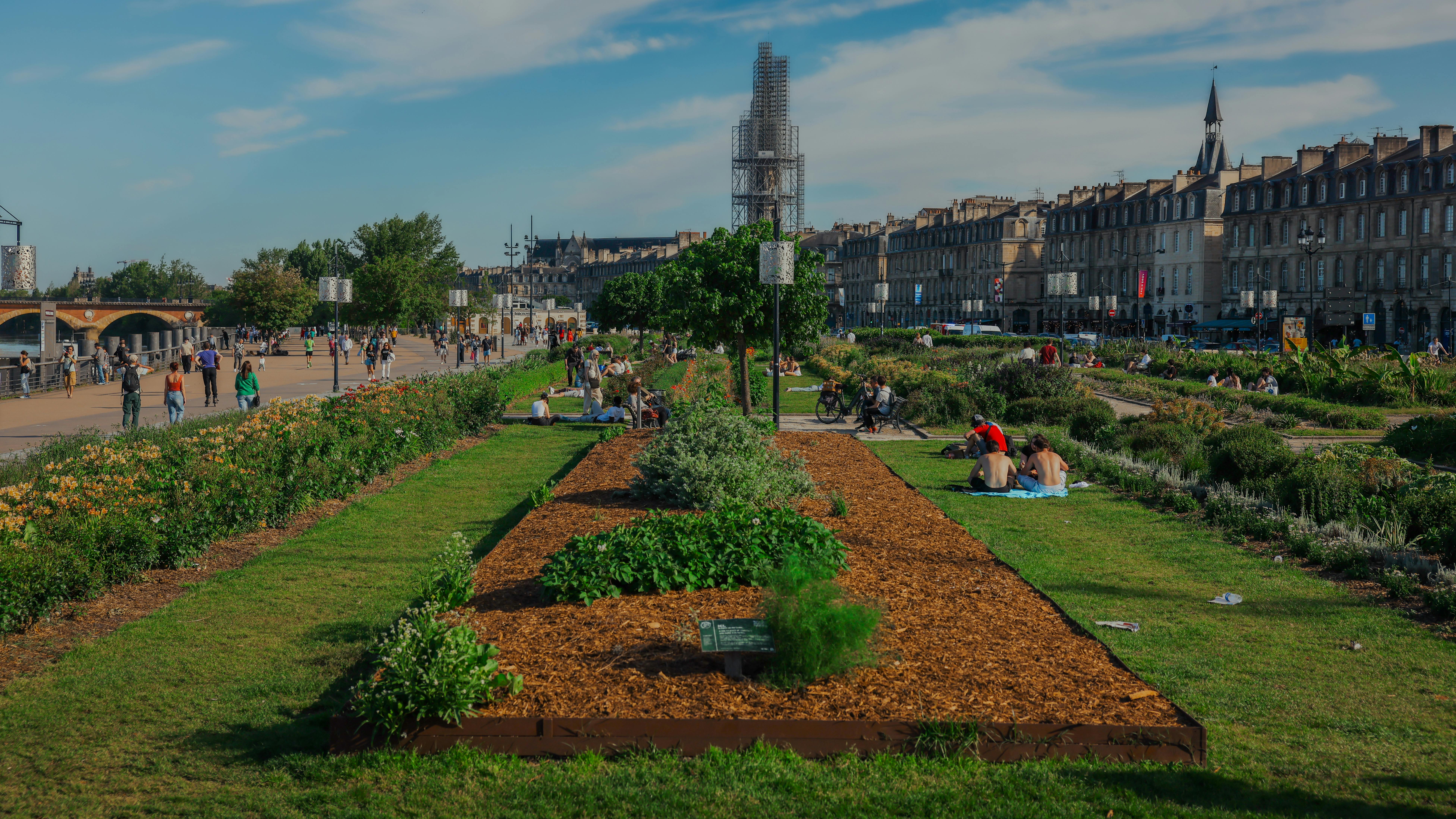 Bordeaux on a Budget — How to Visit Without Breaking the Bank