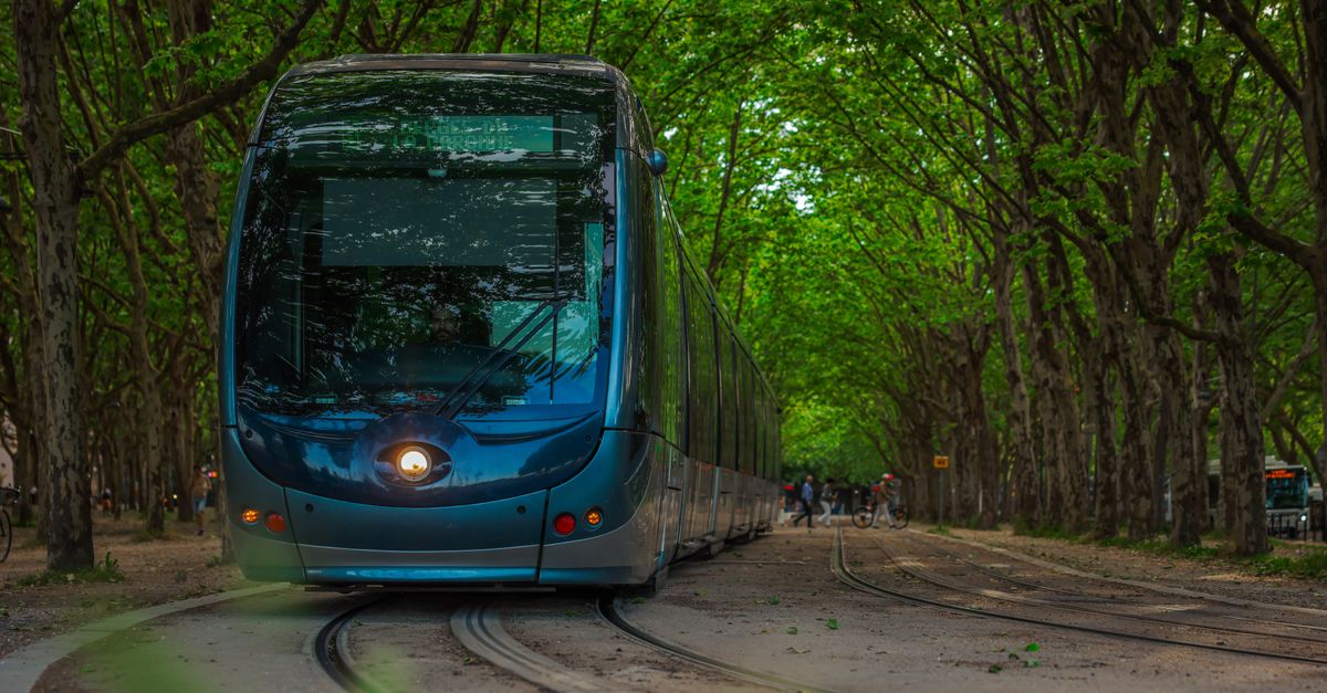 Les Incontournables pour un Voyage Écologique