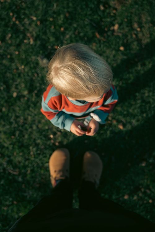 Free A young child gazing upwards while standing on grass, viewed from above. Stock Photo
