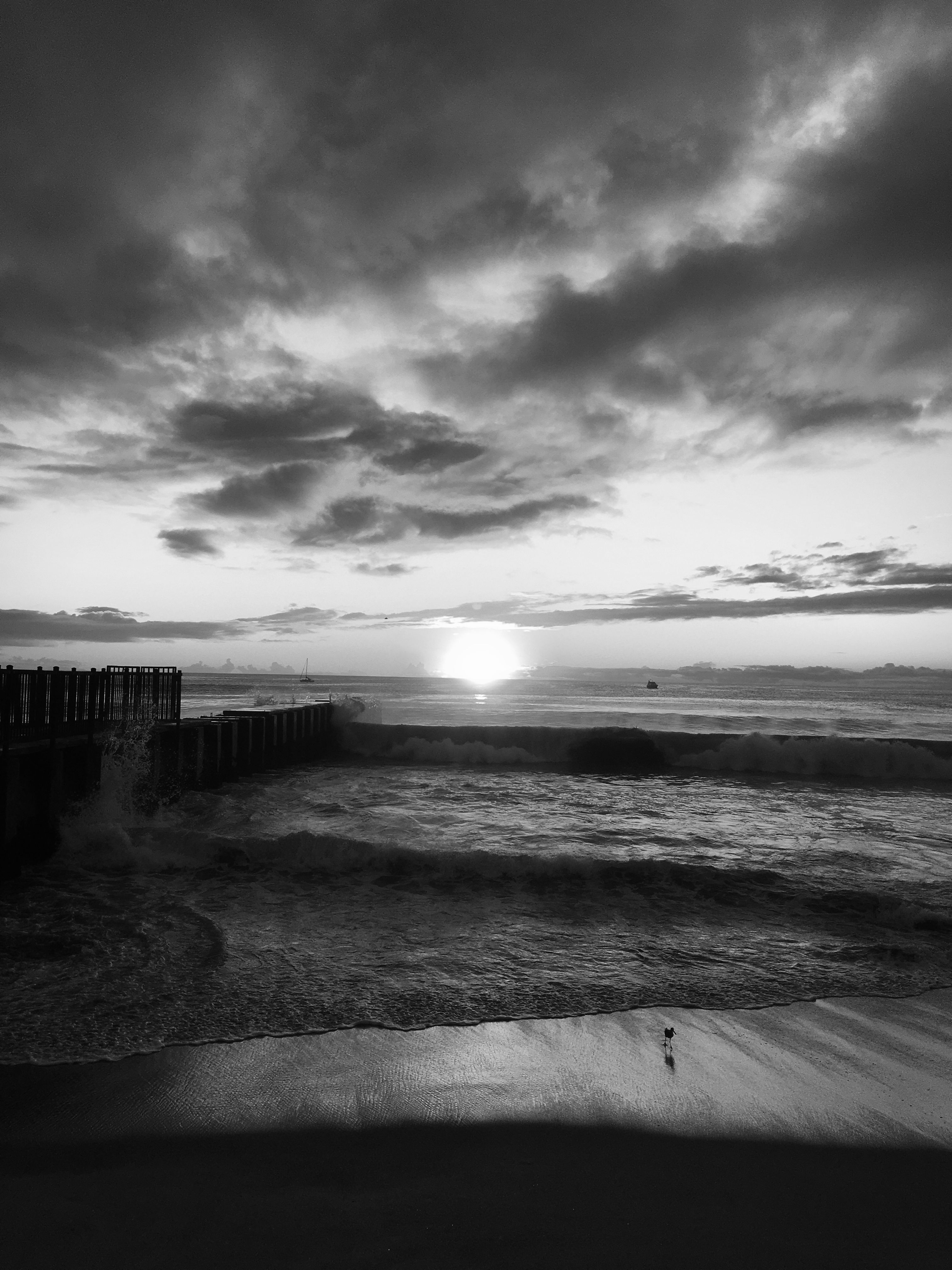 Dramatic Black and White Beach Sunset · Free Stock Photo