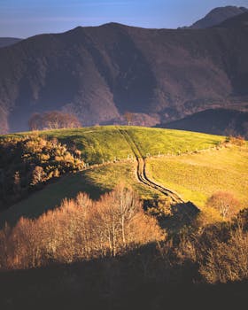 Breathtaking view of Pamplona's lush green hills at sunset.