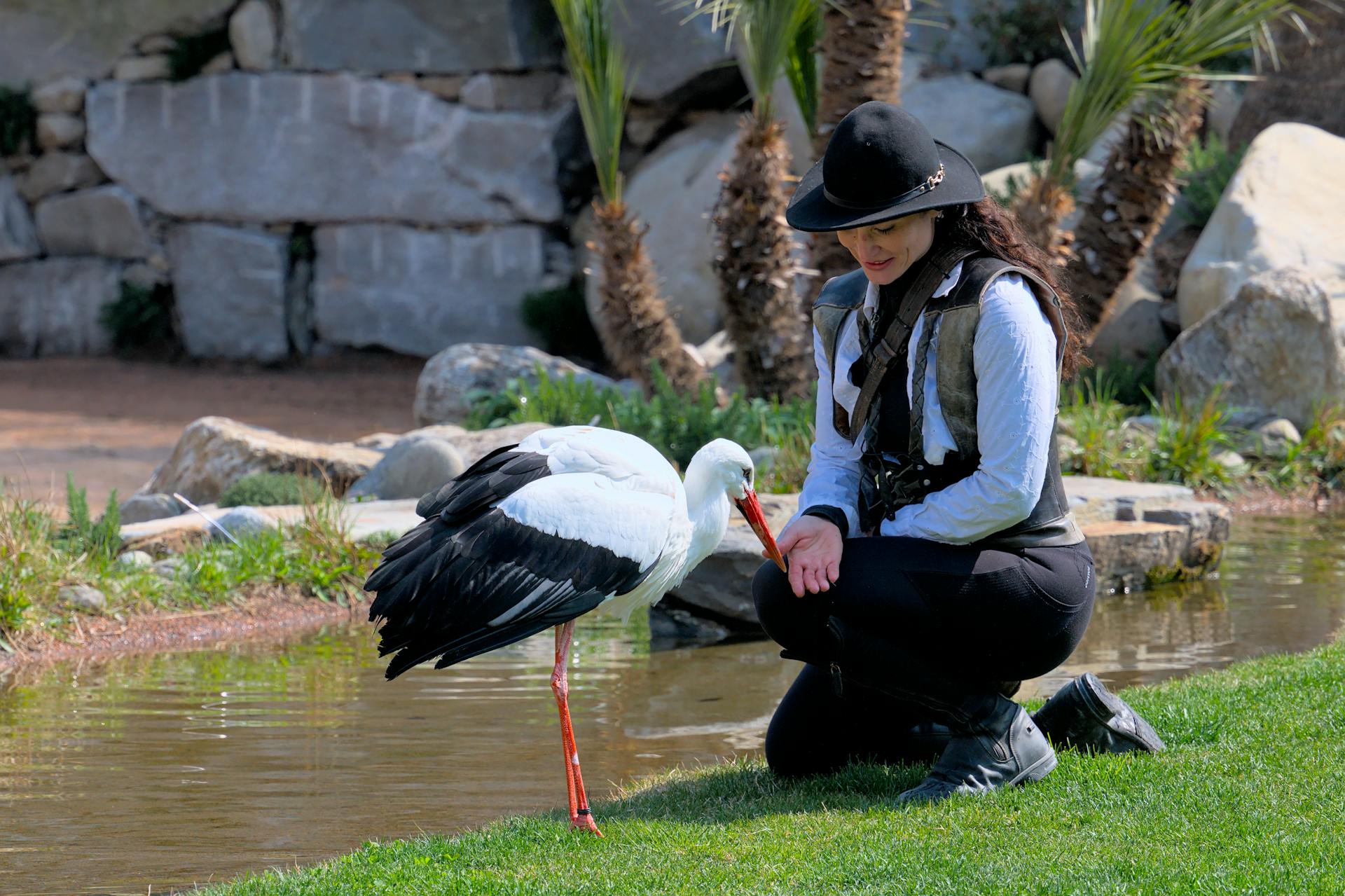 A woman kneels on grass by a pond, feeding a stork in a Swiss outdoor setting.