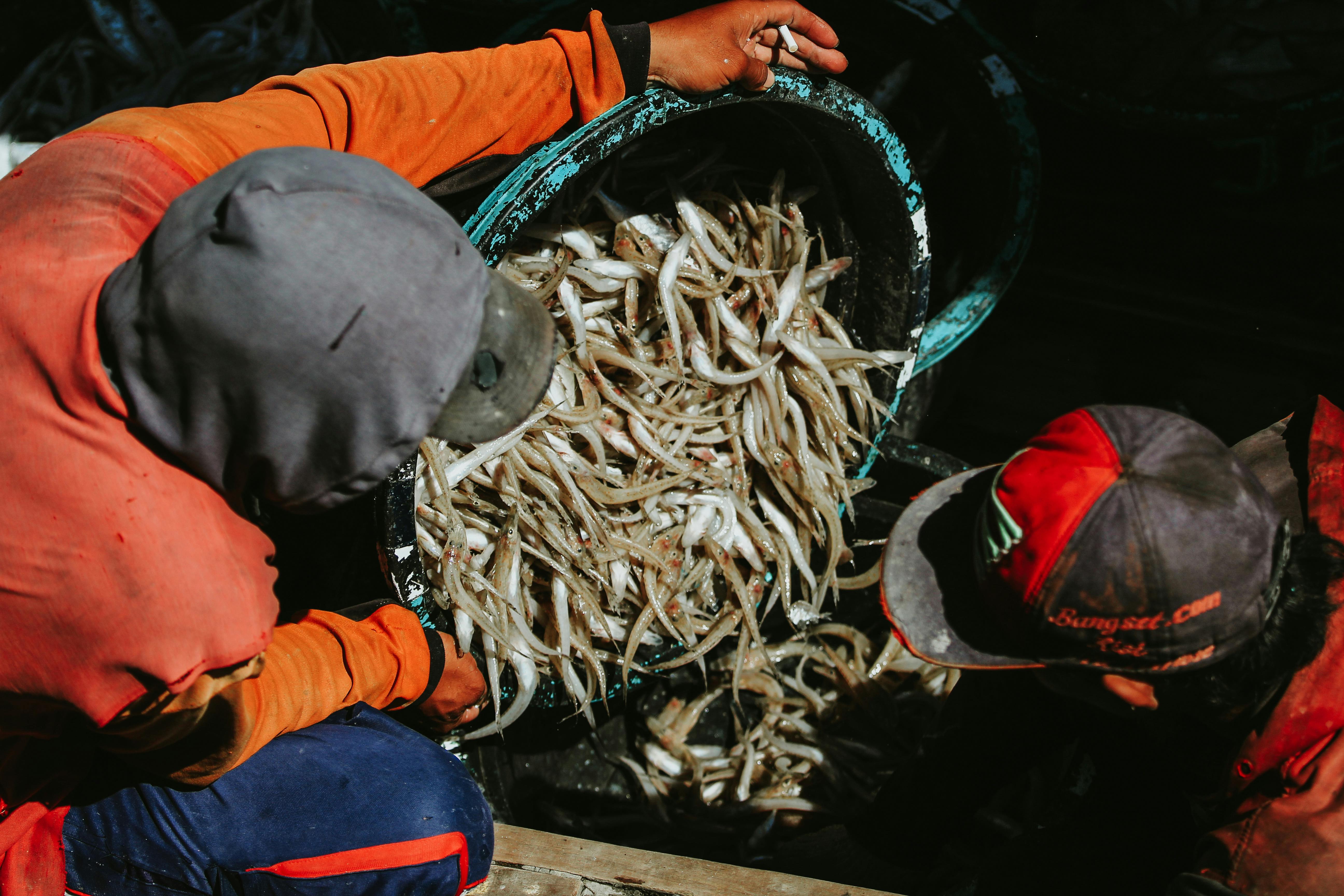 Indonesia’s Hidden Island Gems Beyond Bali for Adventurous Travelers