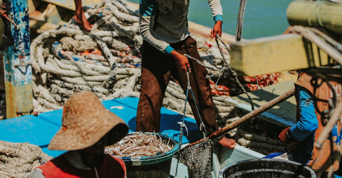 Traditional Fishing Activity in East Java · Free Stock Photo