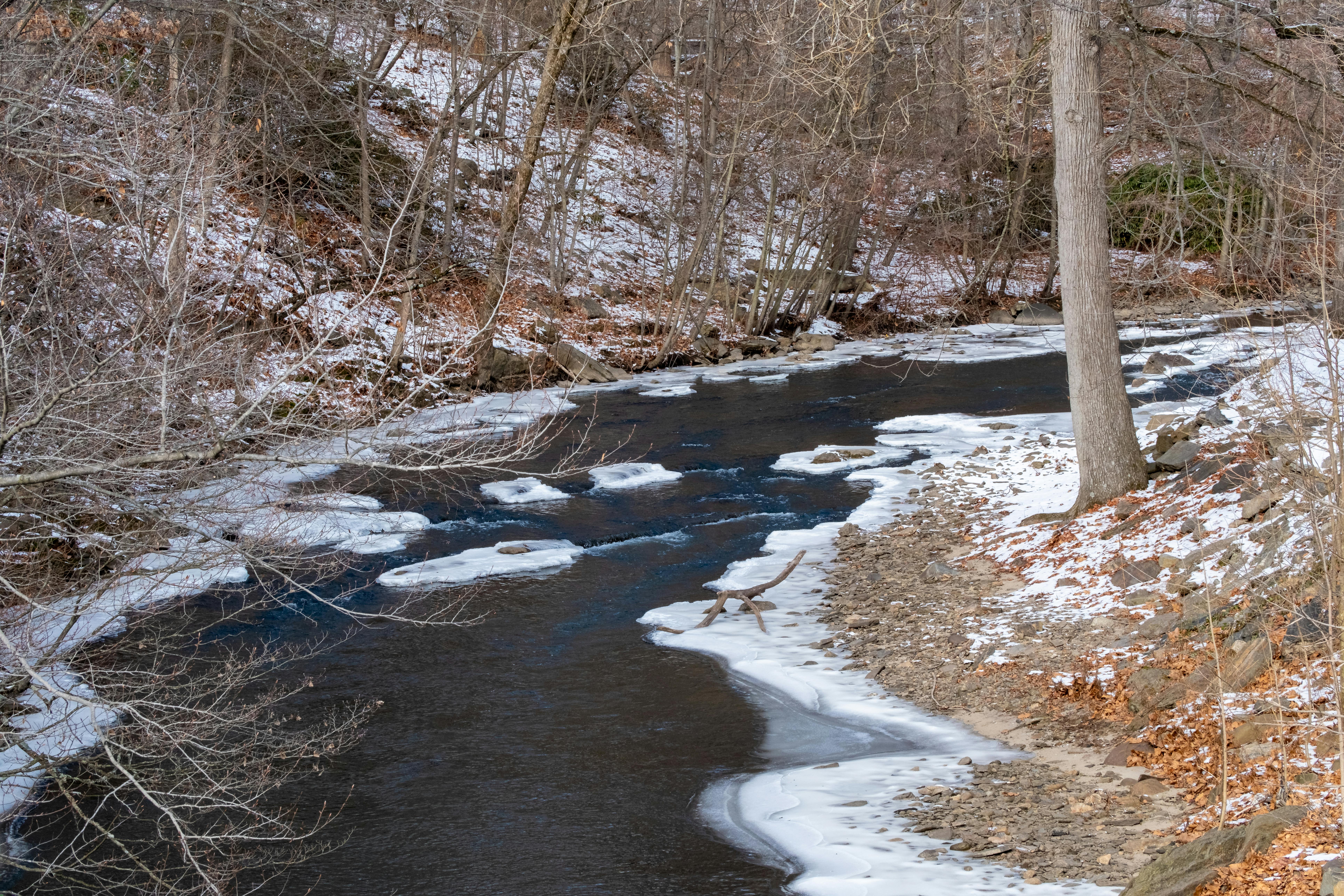 A peaceful frozen stream with snow-covered banks amid bare winter trees, capturing serene natural beauty.