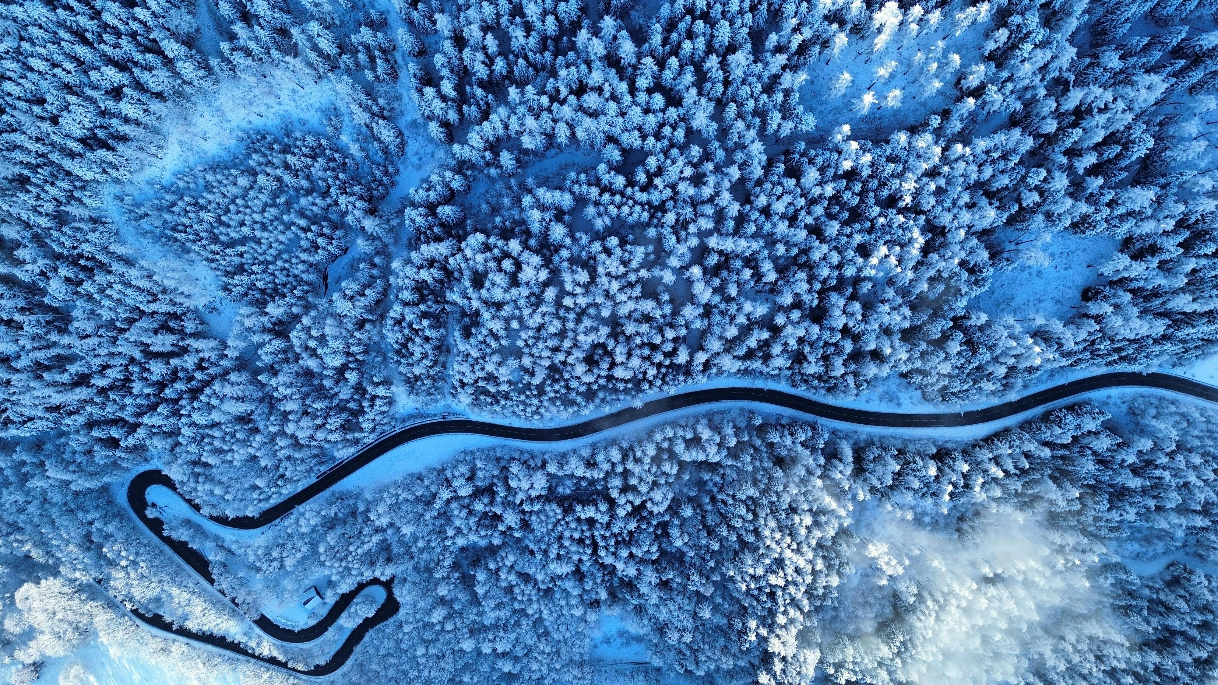 Kostnadsfria Fantastisk flygfoto över en snötäckt skog och slingrande väg på vintern, Frankrike. Stock foto