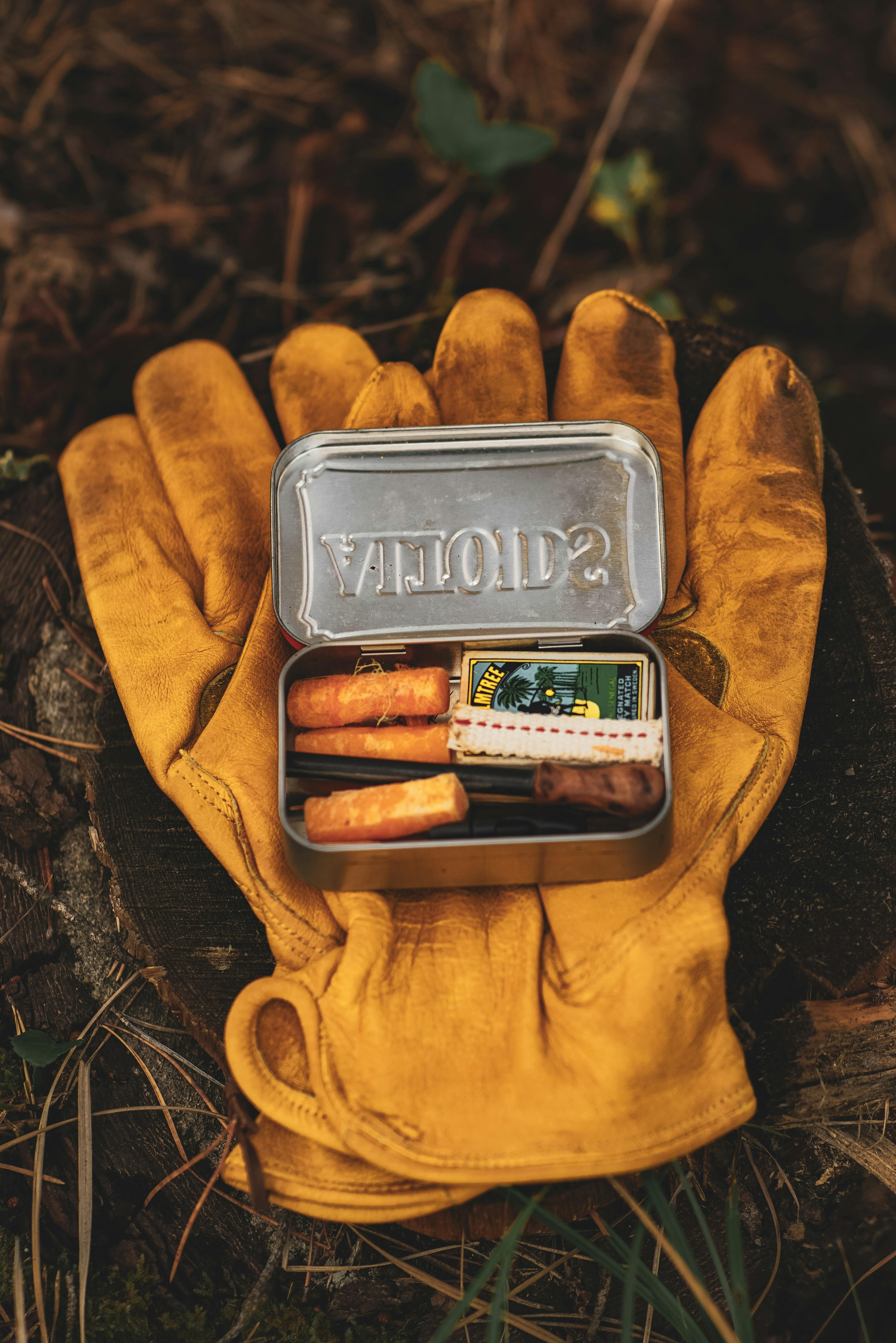 A Mental Wilderness Survival Kit