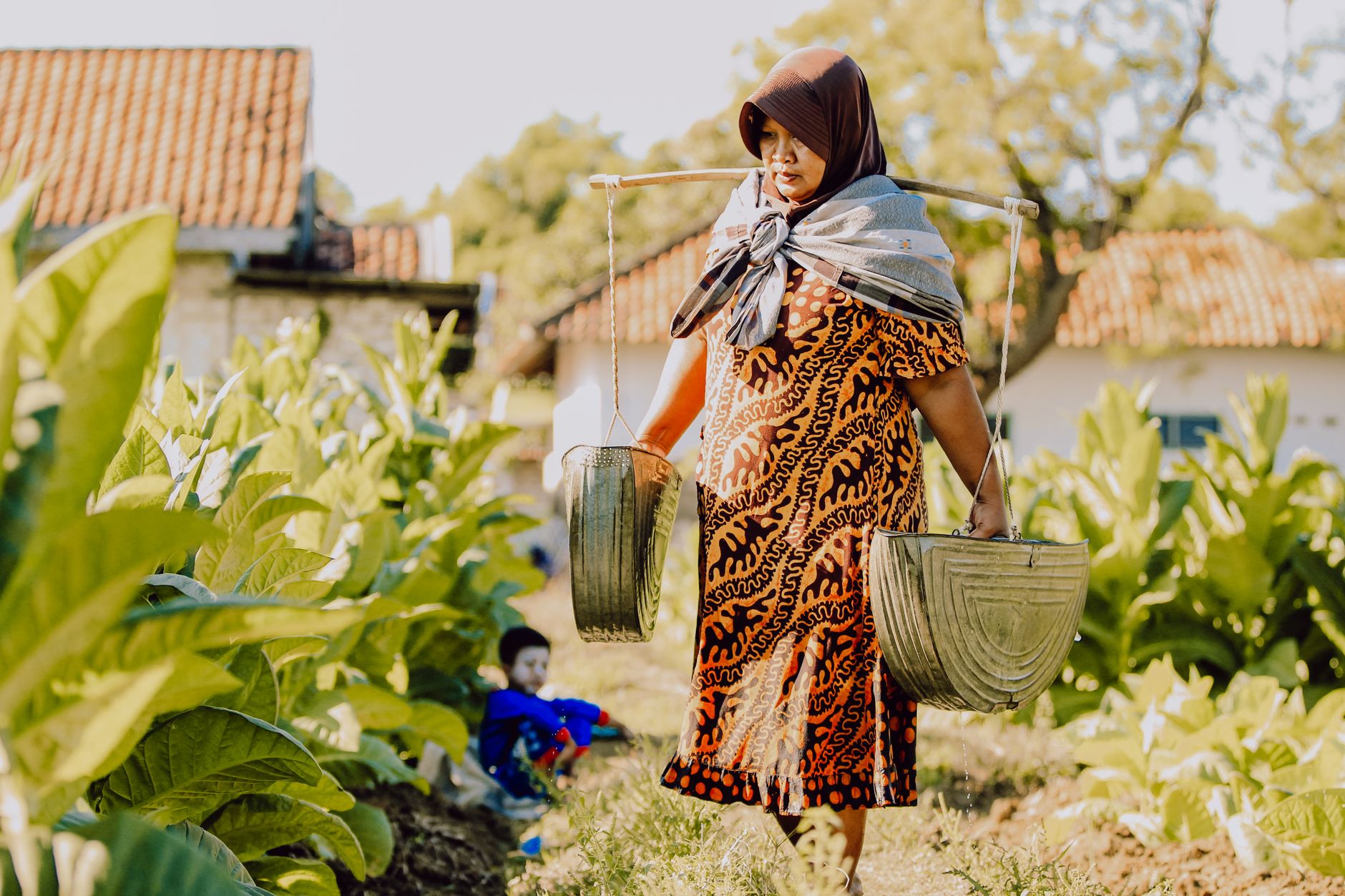Tobacco farmers drying harvest Madagascar