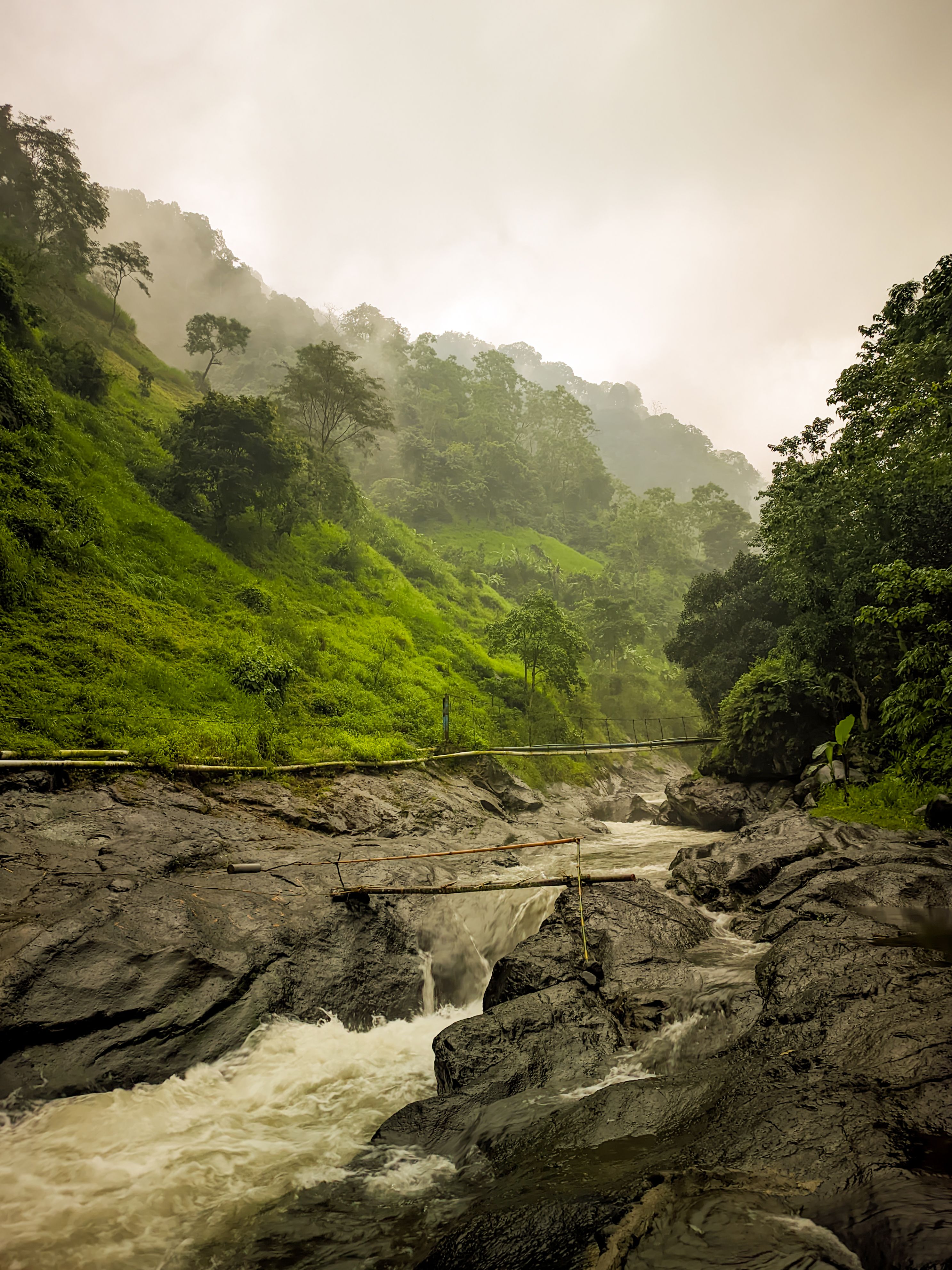Serene River Flowing Through Lush Greenery in East Java · Free Stock Photo